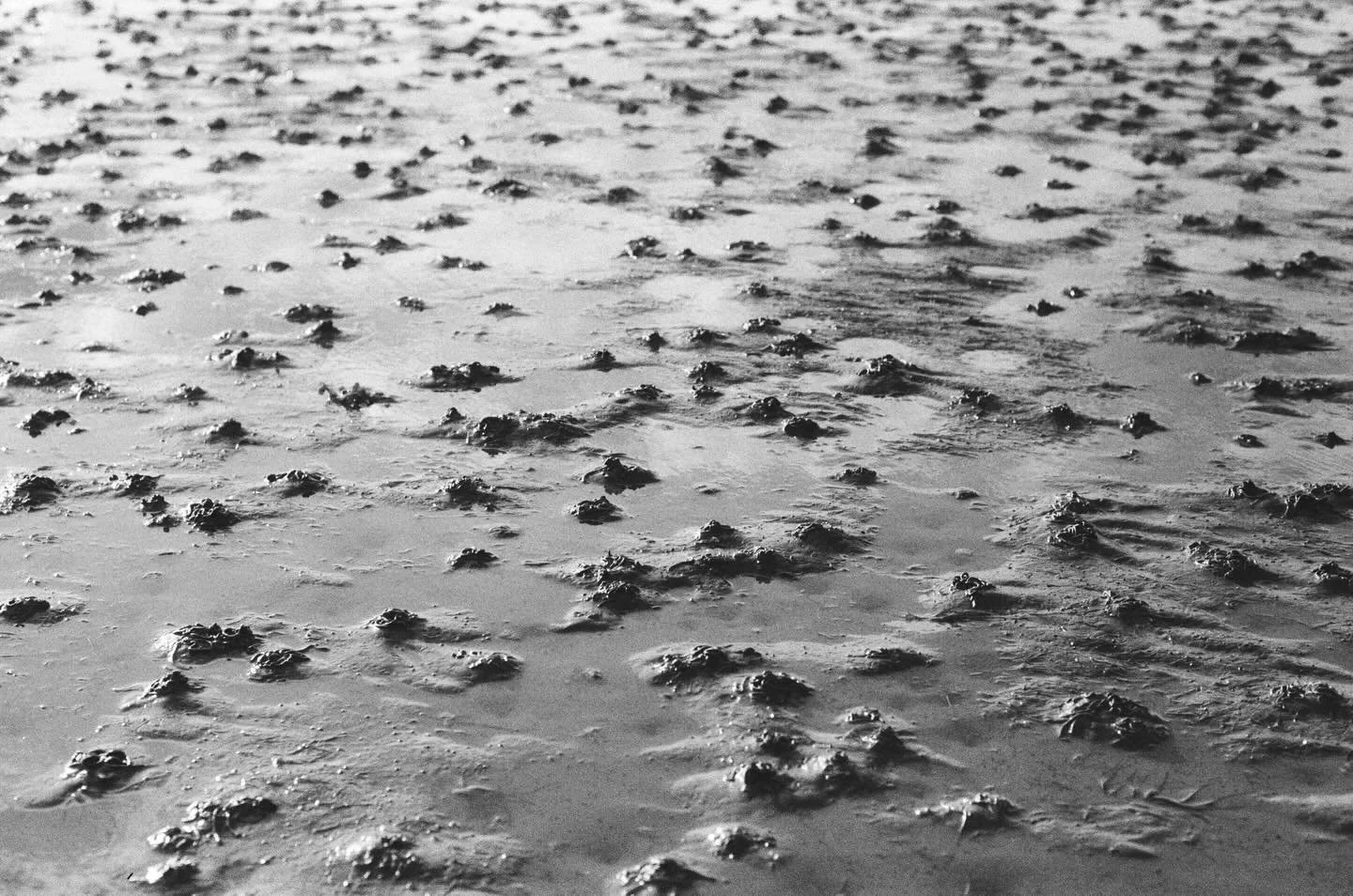 Visualisations of sensations 
3/ Beneath the tide on Holy Island 

The body holds sensations beyond the expression of words. Glimpses of our surroundings echo sacred moments of touch. These linger with us long after they&rsquo;ve left our skin.