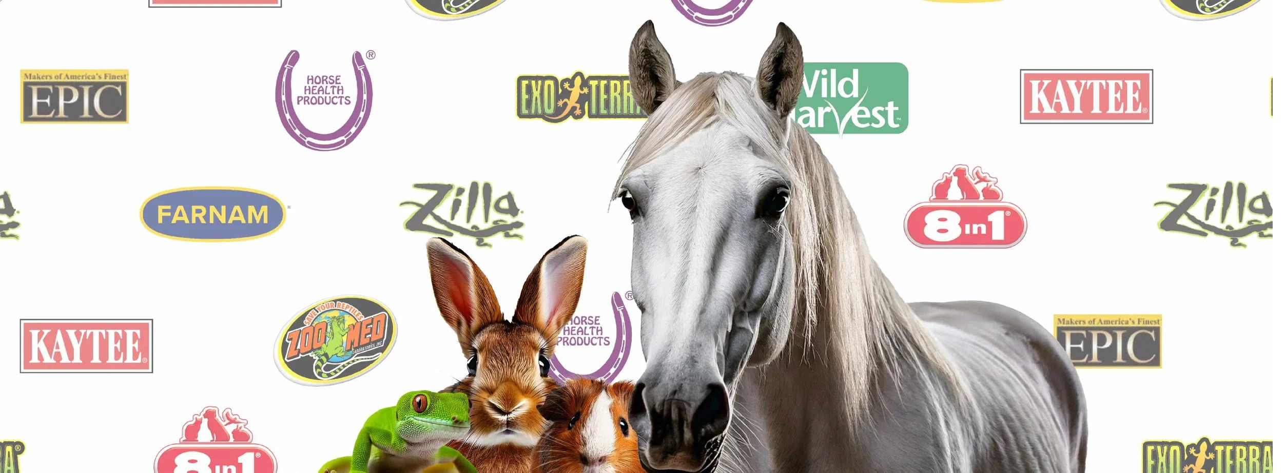 dc-pet-distribution-branding-web-package-creativorock@200x-100.jpg