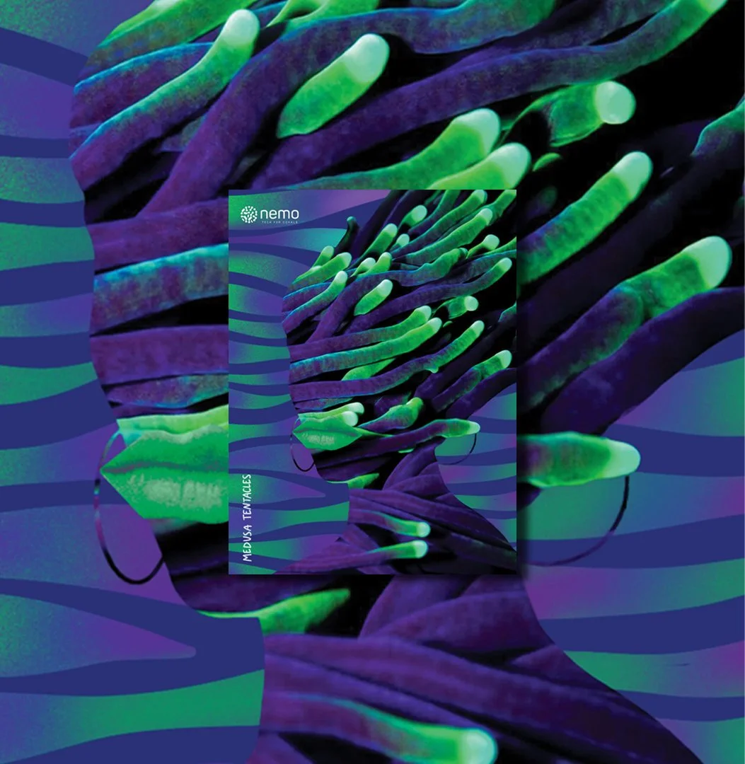 Posters_01.jpg