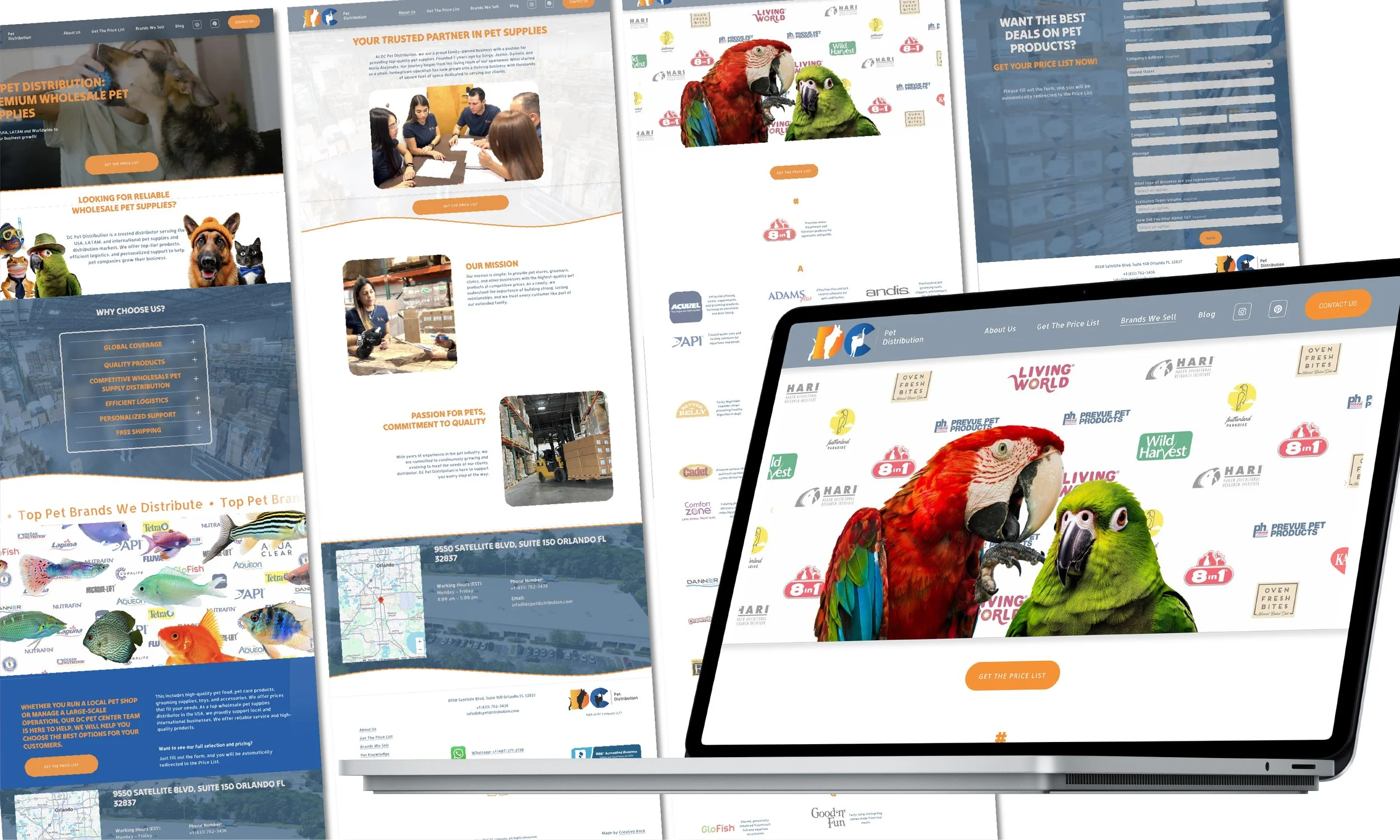 Creative web design concept with colorful graphics and interactive elements
