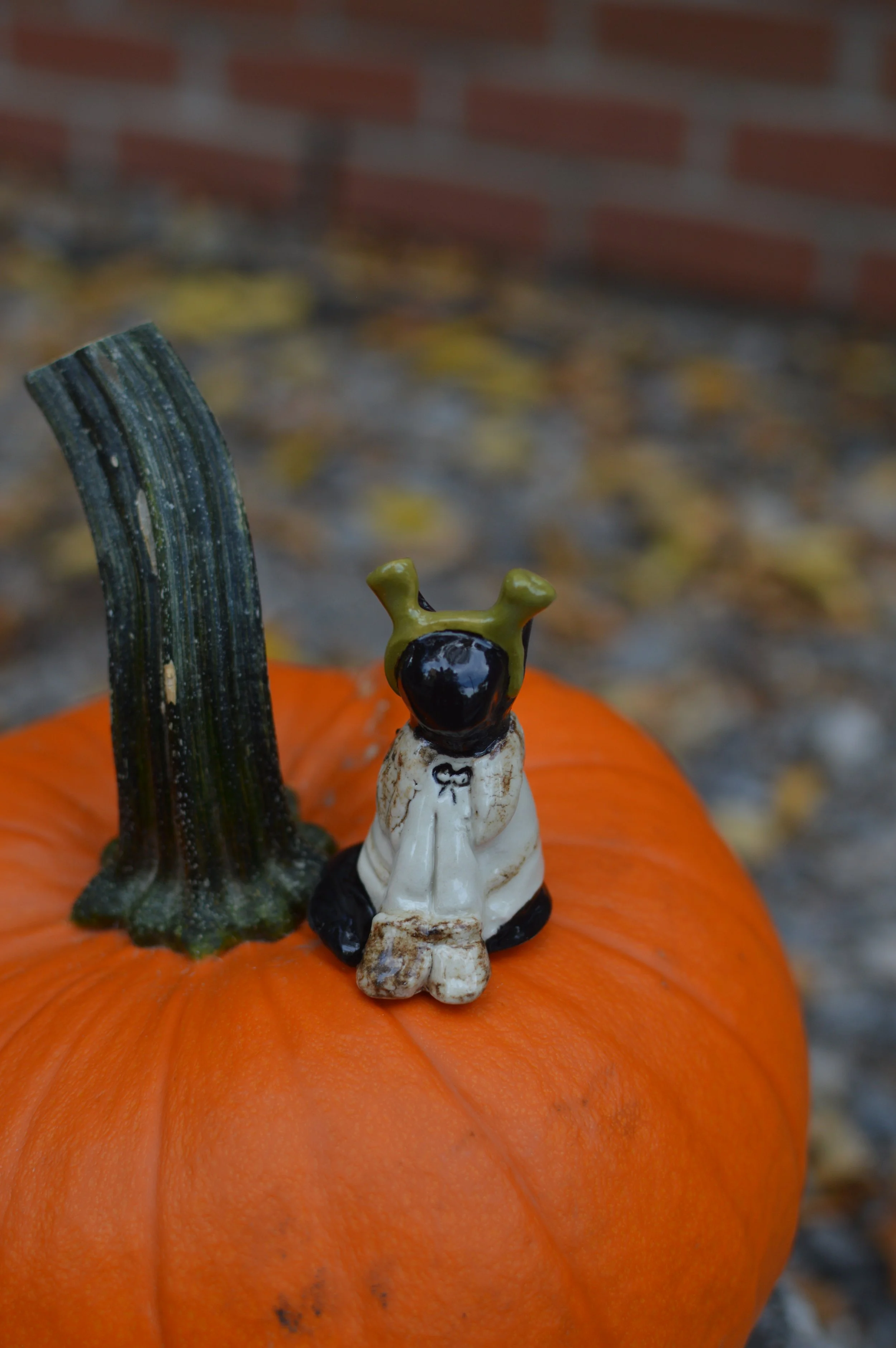DSC_0924.jpeg