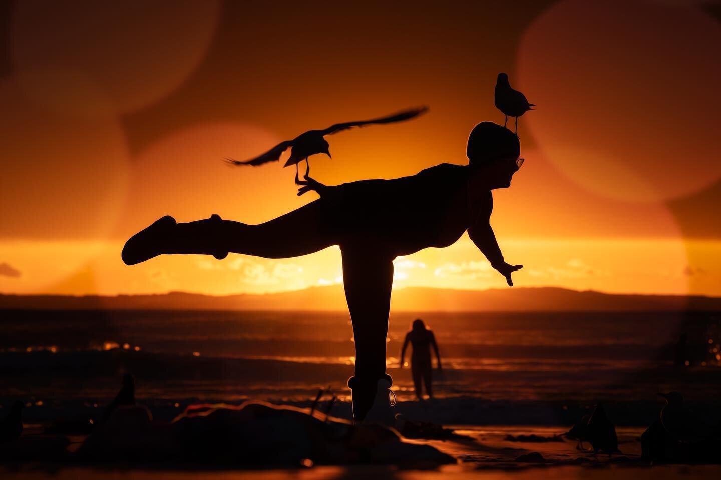 - Queen of the birds -
Sunrise 21st May 2023
@naomi_star_artist #sunrise #silhouette #cronullabeach #cronulla #beach #birds
Sorry @vasharris you may have been dethroned.