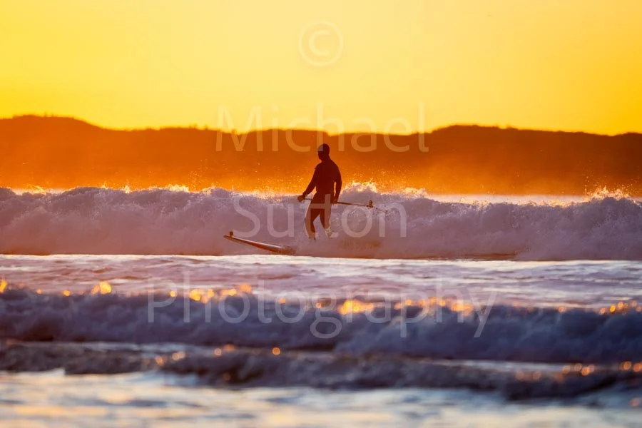 Copyright-Michael_Sutton_Photography-8176-Copyright 2025-2.jpg