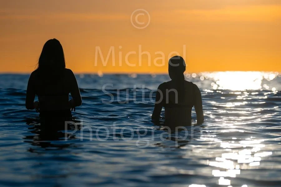 Copyright-Michael_Sutton_Photography-8833.jpg