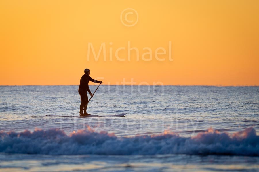Copyright-Michael_Sutton_Photography-8151-Copyright 2025-2.jpg
