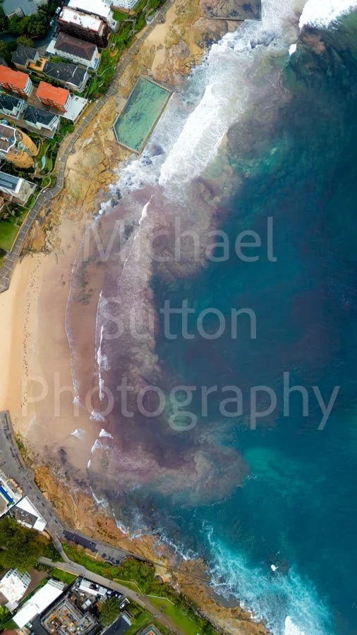 The red algae infestation