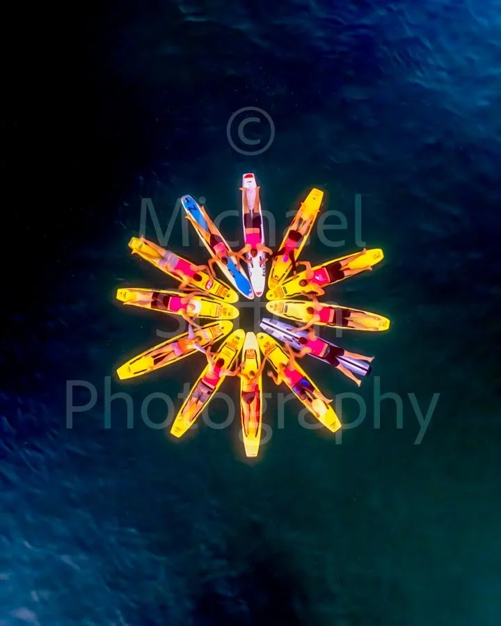 Copyright-Michael_Sutton_Photography--Copyright 2026-11.jpg