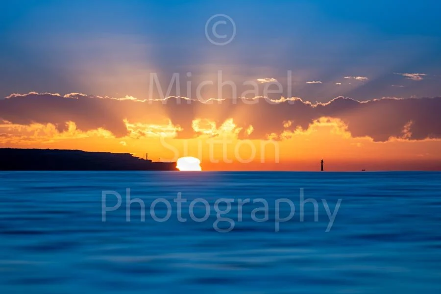 Copyright-Michael_Sutton_Photography--Copyright 2026-14.jpg