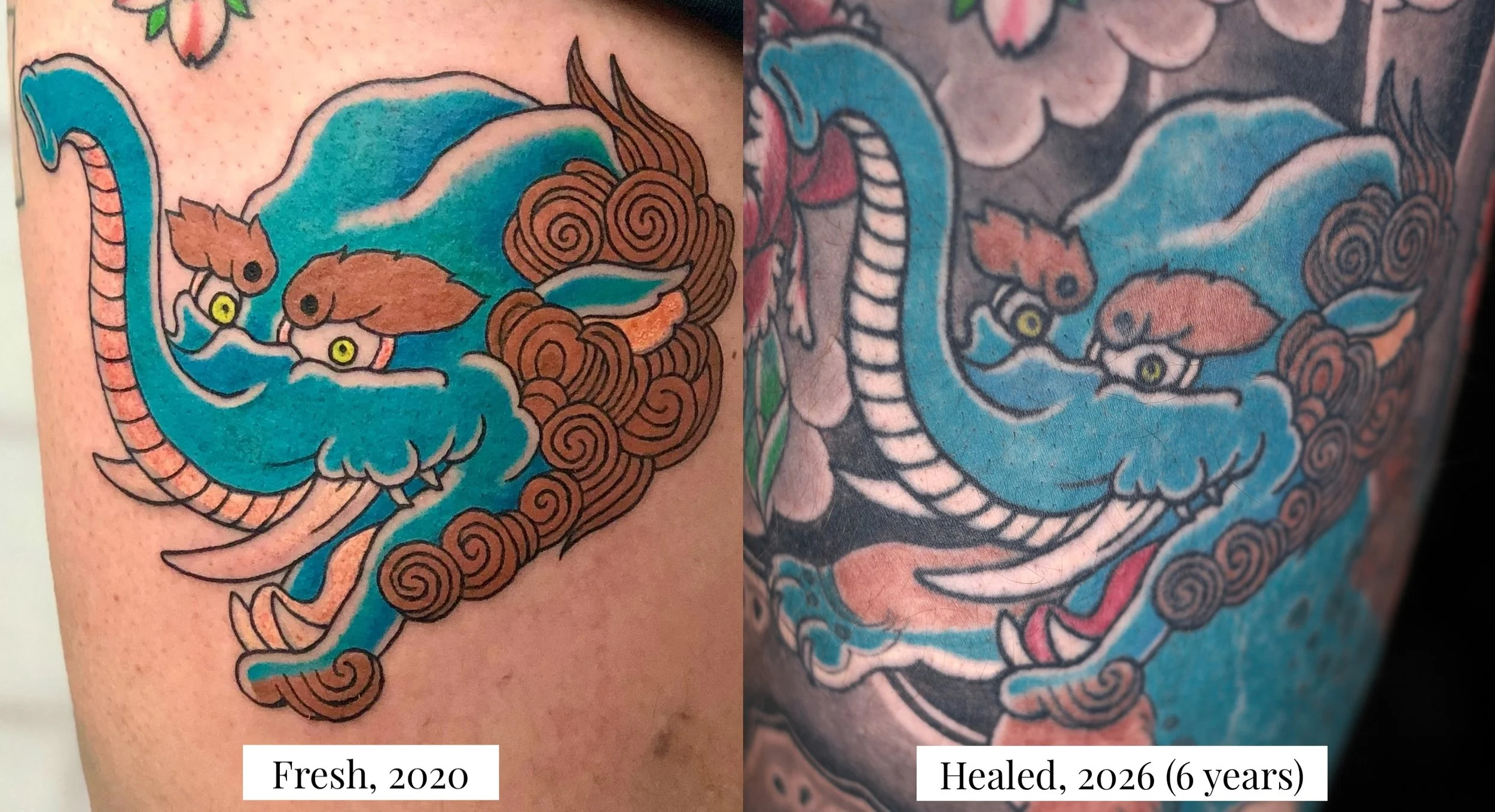 Baku, 6 years healed