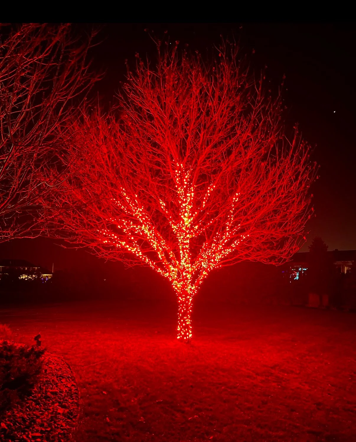 Outdoor Christmas Lighting Frankenmuth, MI