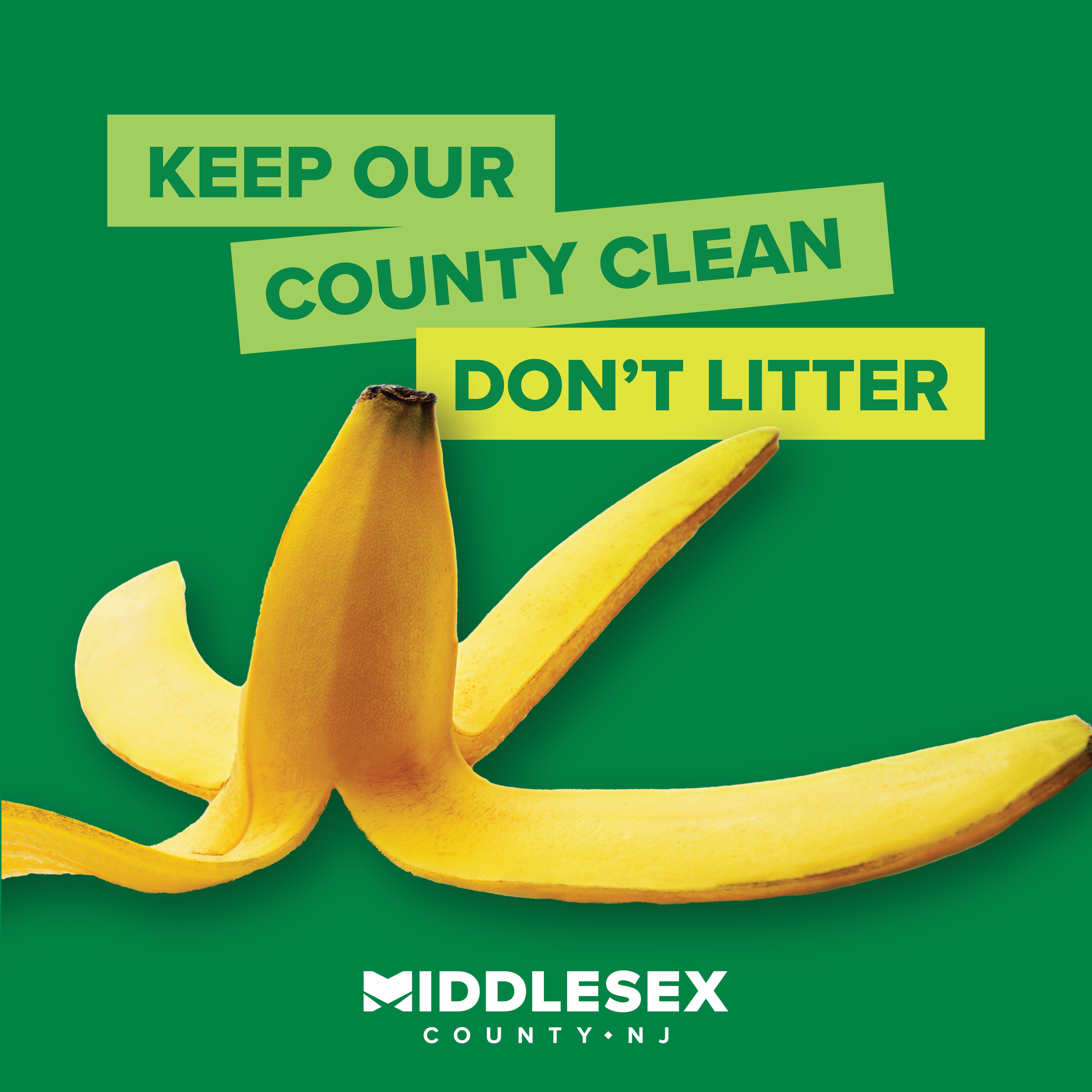 RecyclingCampaign_DontLitter-02.png