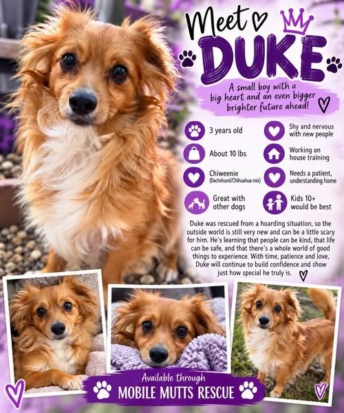Duke