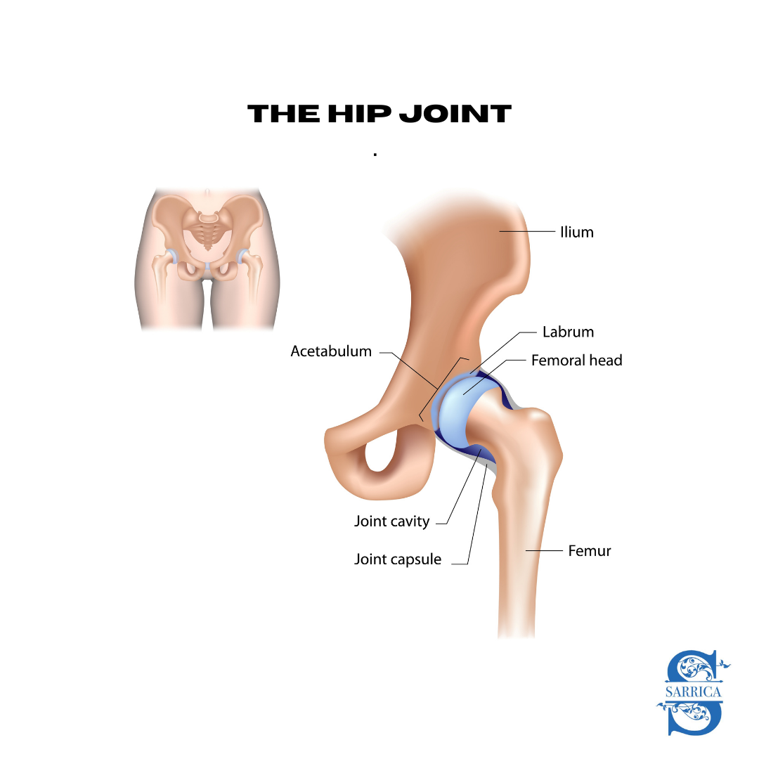 Hips Don't Lie, And Neither Do These Facts - 4 Interesting Hip Facts —  Sarrica