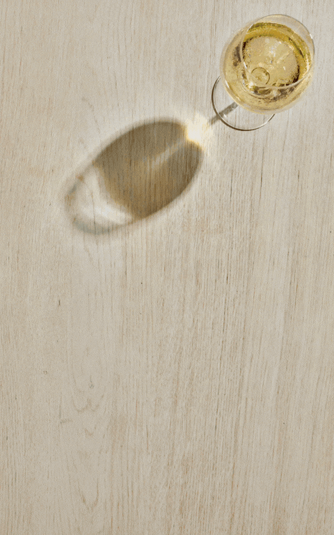 Austin Texas Food Photographer Jessica Attie.gif