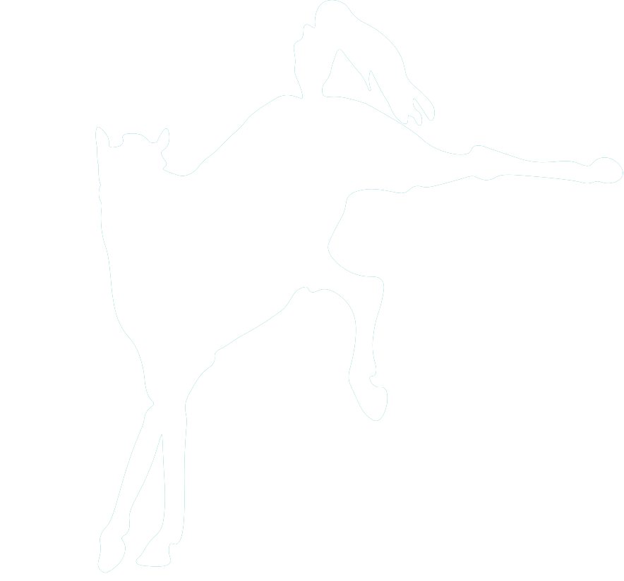Rideable Equine Massage