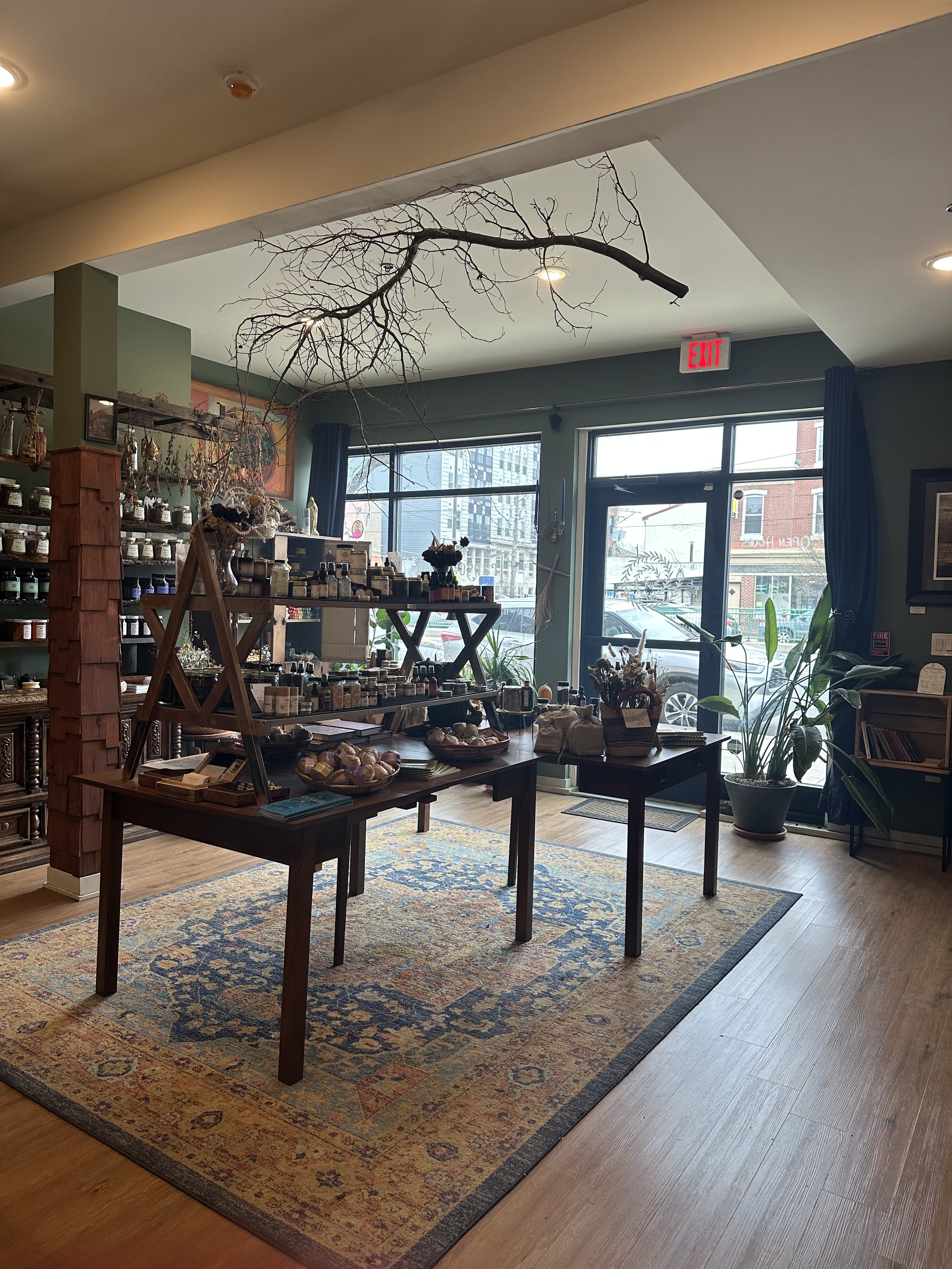 Home  Transcending Roots Apothecary Shop