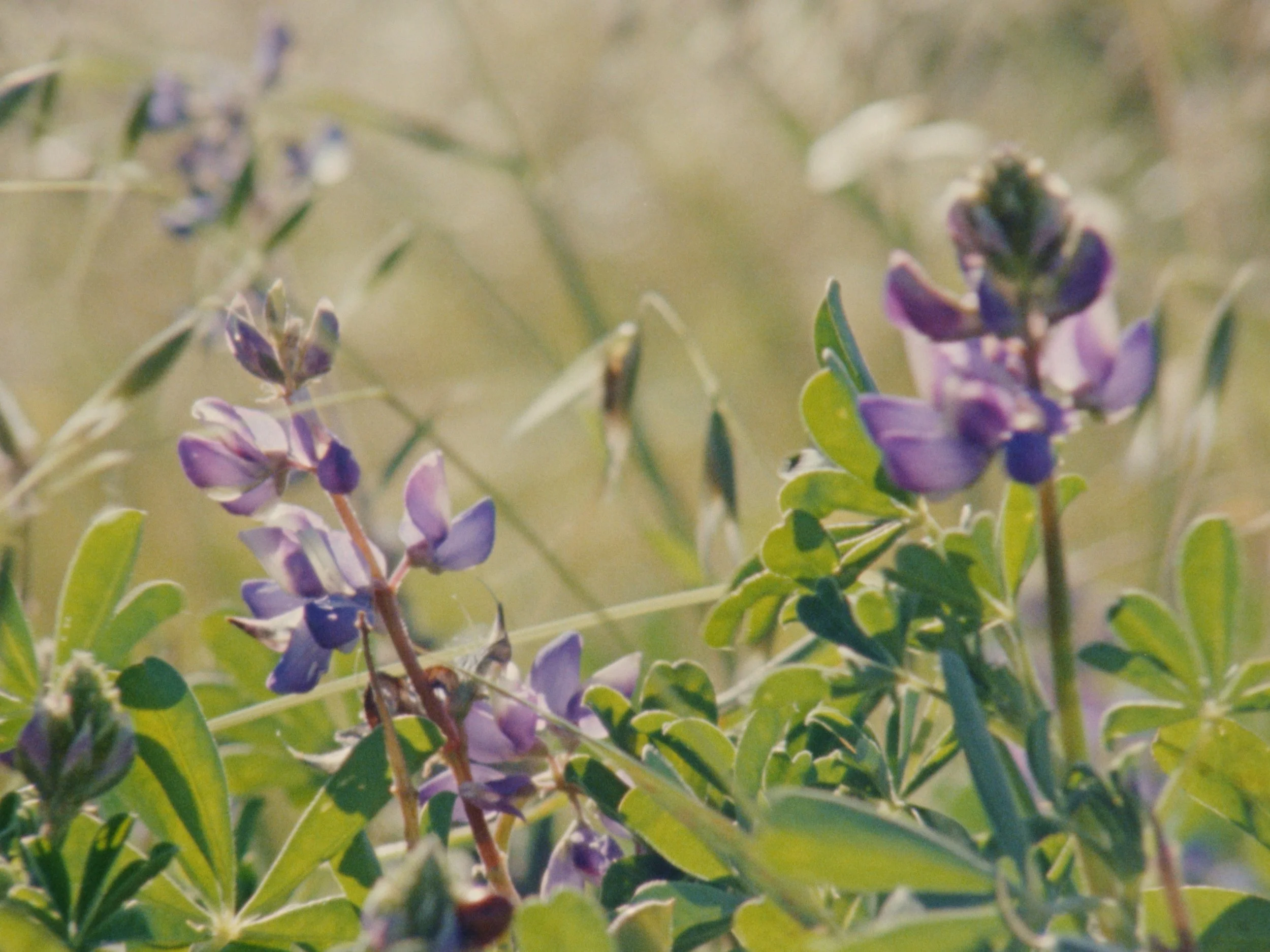 Still 2026-03-17 124218_2.4.2.jpg