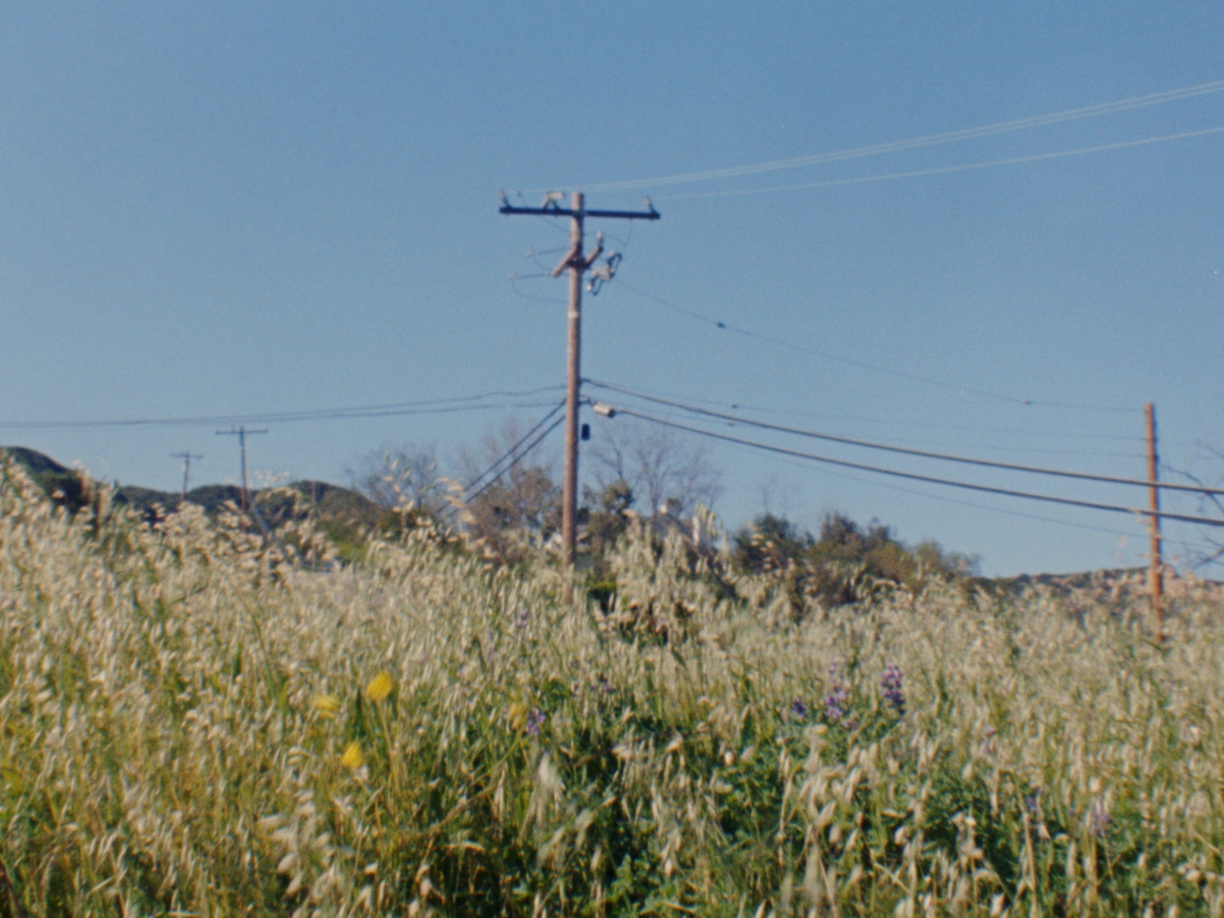 Still 2026-03-17 124218_2.3.1.jpg