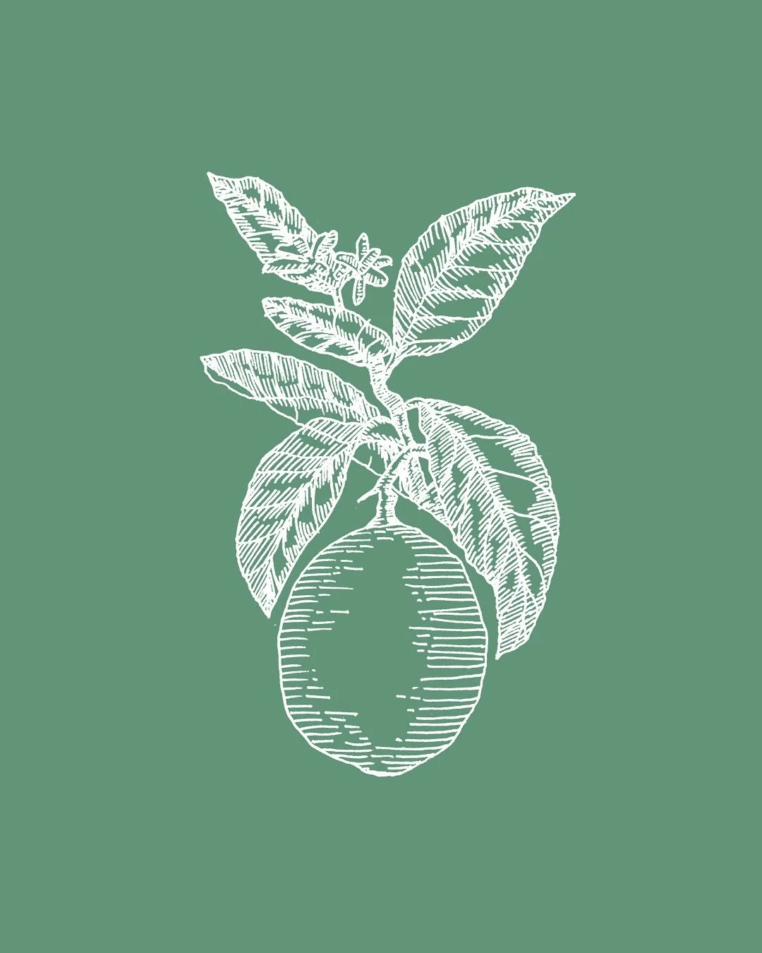 2/3 Loooove a good wedding set, and this one had it all &ndash;  from table numbers, menus and welcome signs, to itinerary sheets, tote bags and custom maps. All designed for a really lovely duo, which makes this project all the sweeter.   Amongst ot