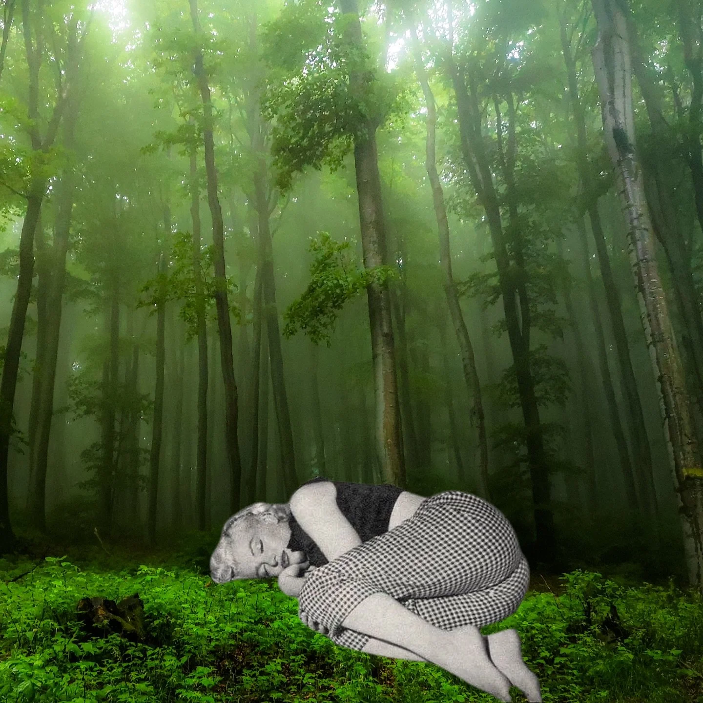 Where Marilyn Sleeps 💤 Creative challenge was keeping it limited to just landscapes. Pick your fave 1-10 ➡️
&bull;
&bull;
&bull; #marilyn #landscape #collage