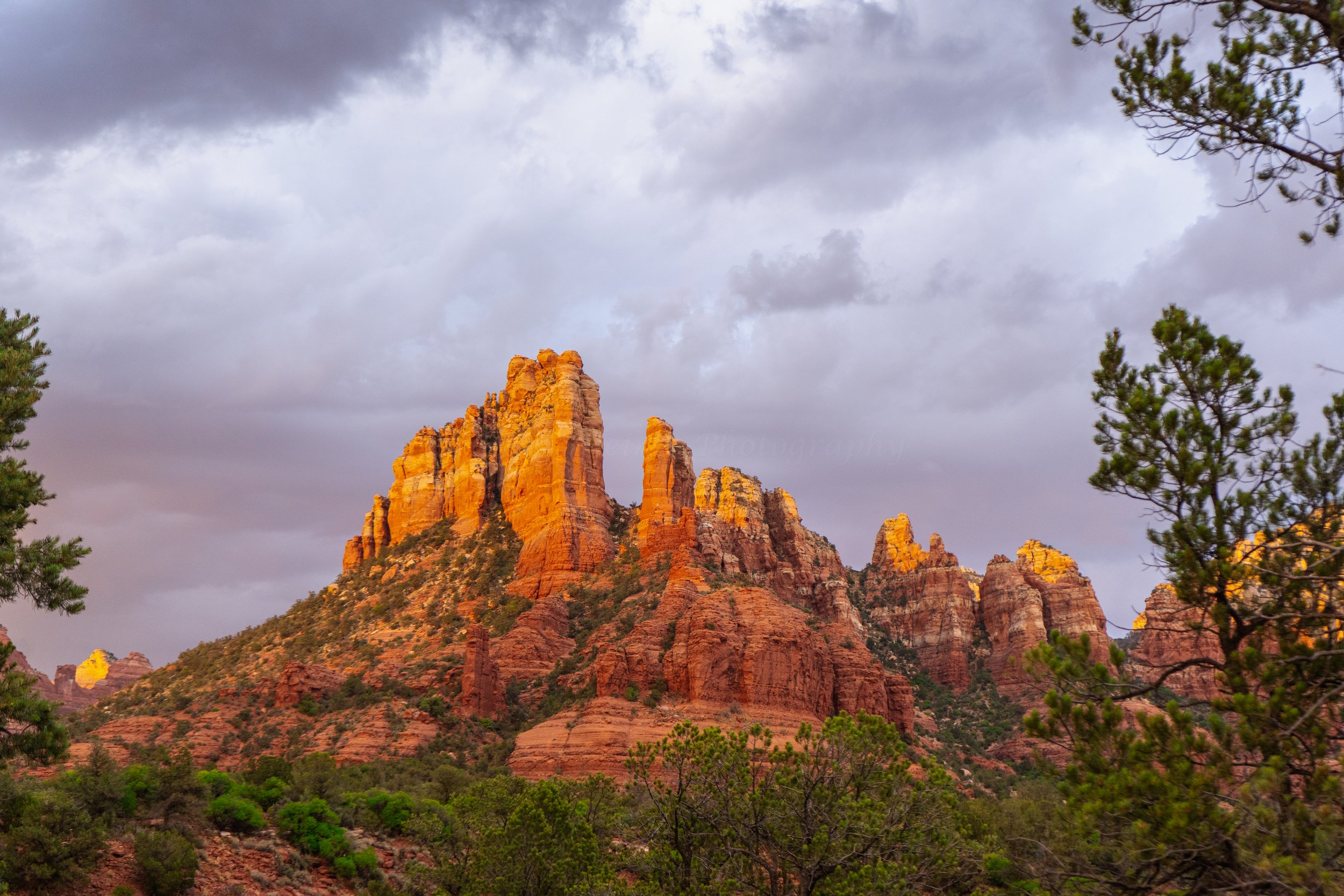 Holly-Heines-Photography-Sedona-Fall-2023-03-WATERMARK.jpg