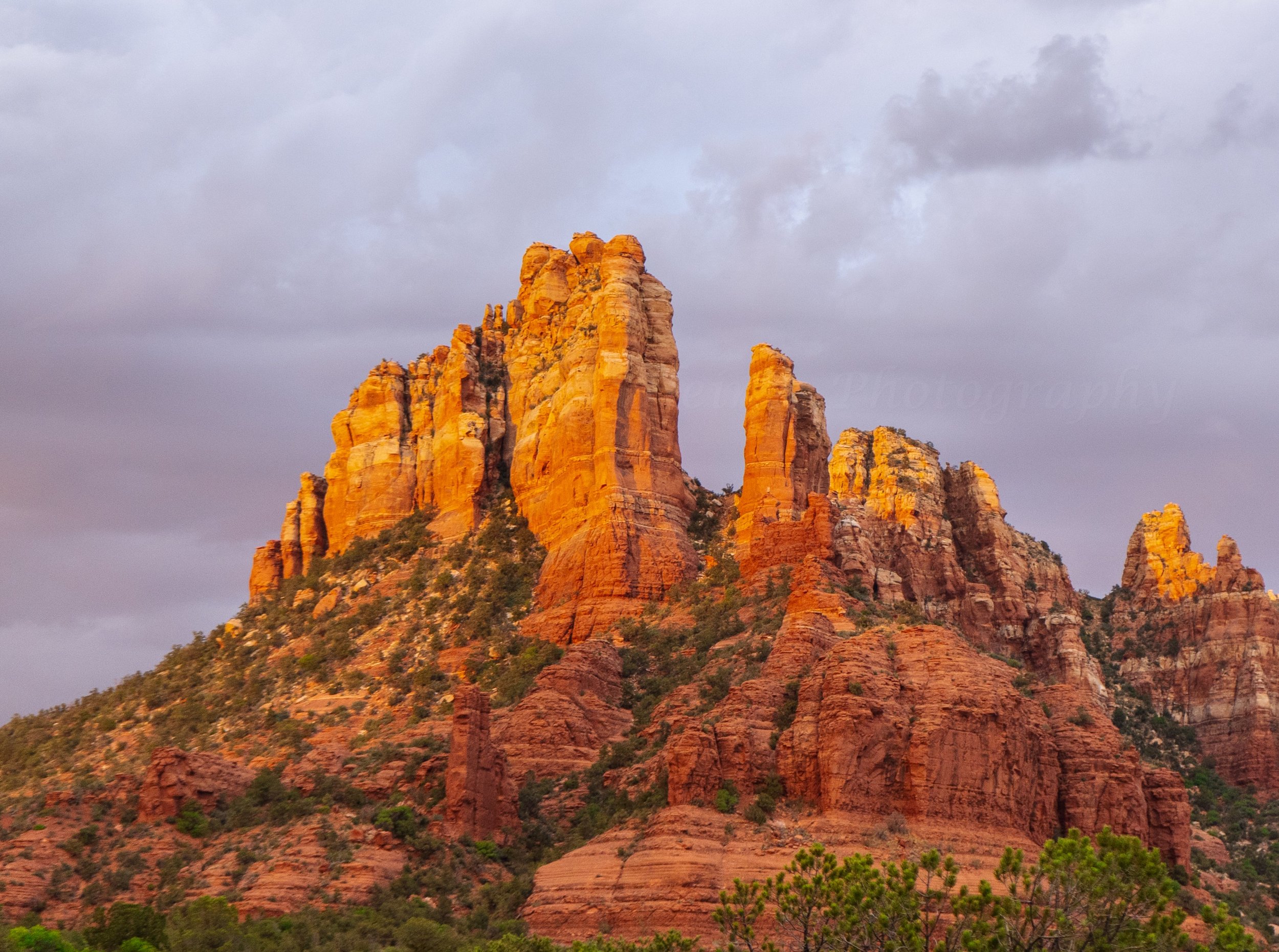 Holly-Heines-Photography-Sedona-Fall-2023-03-CLOSEUP.jpg
