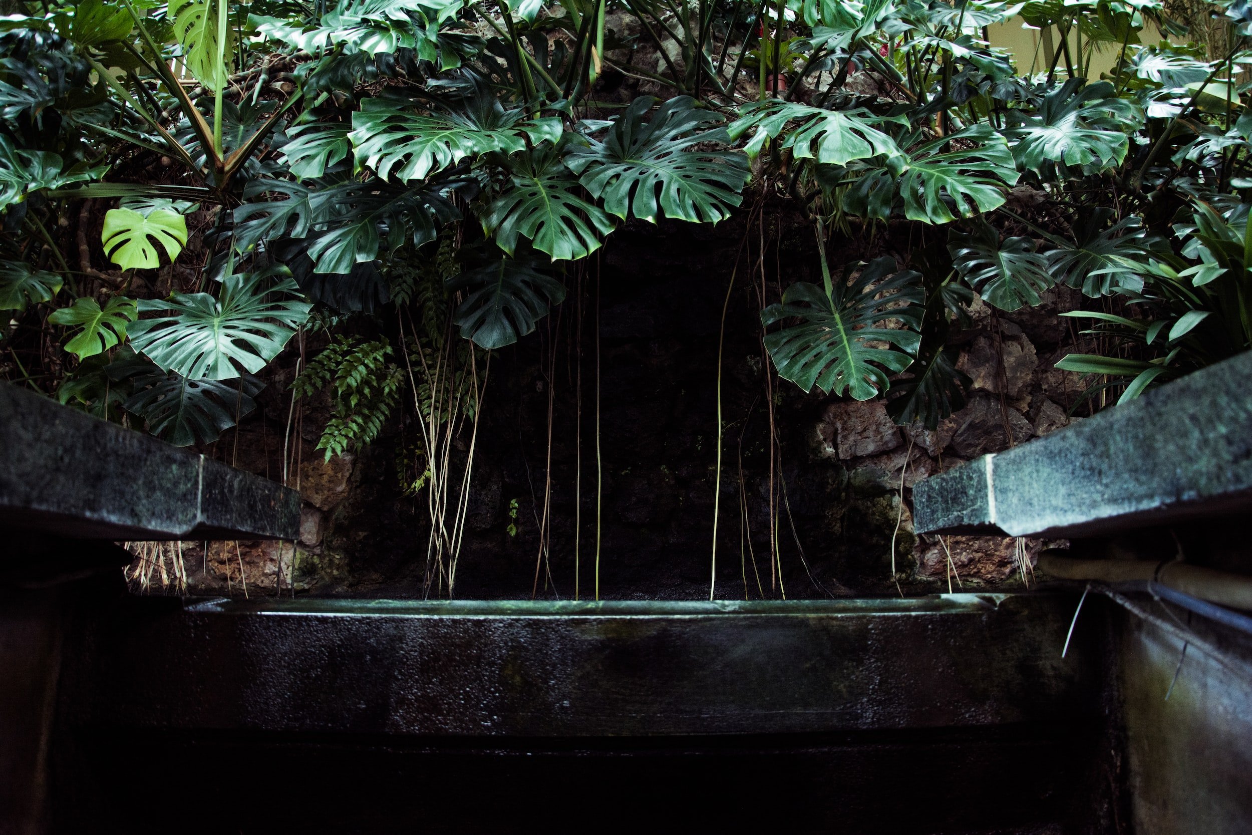 unsplash-image-npjs15NQSRI.jpg