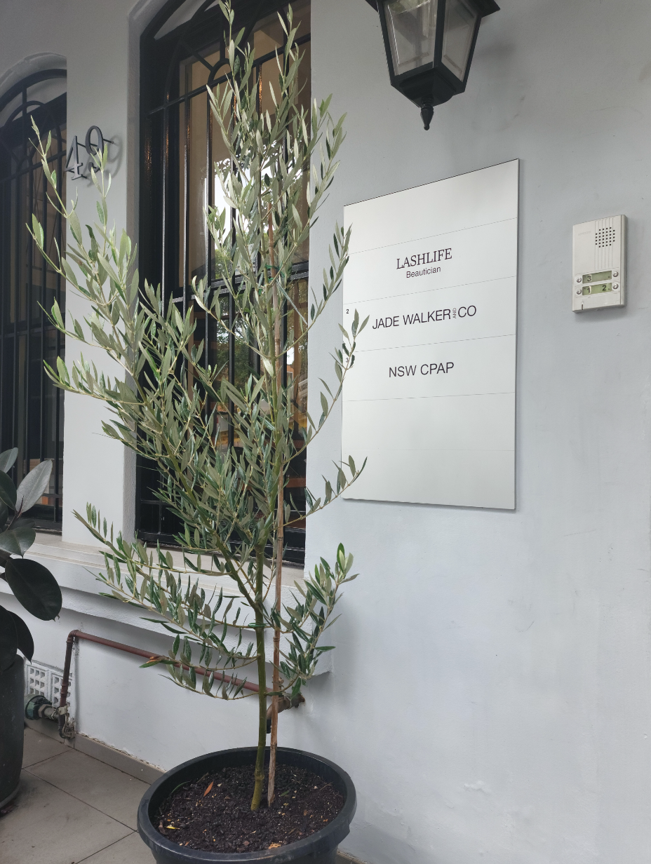 olive-tree-sydney-axis-trees-2.png