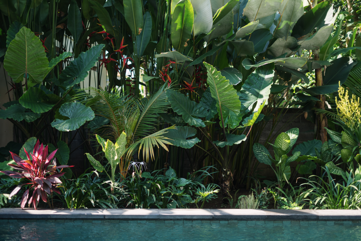afforest-group-horticultural-design.png