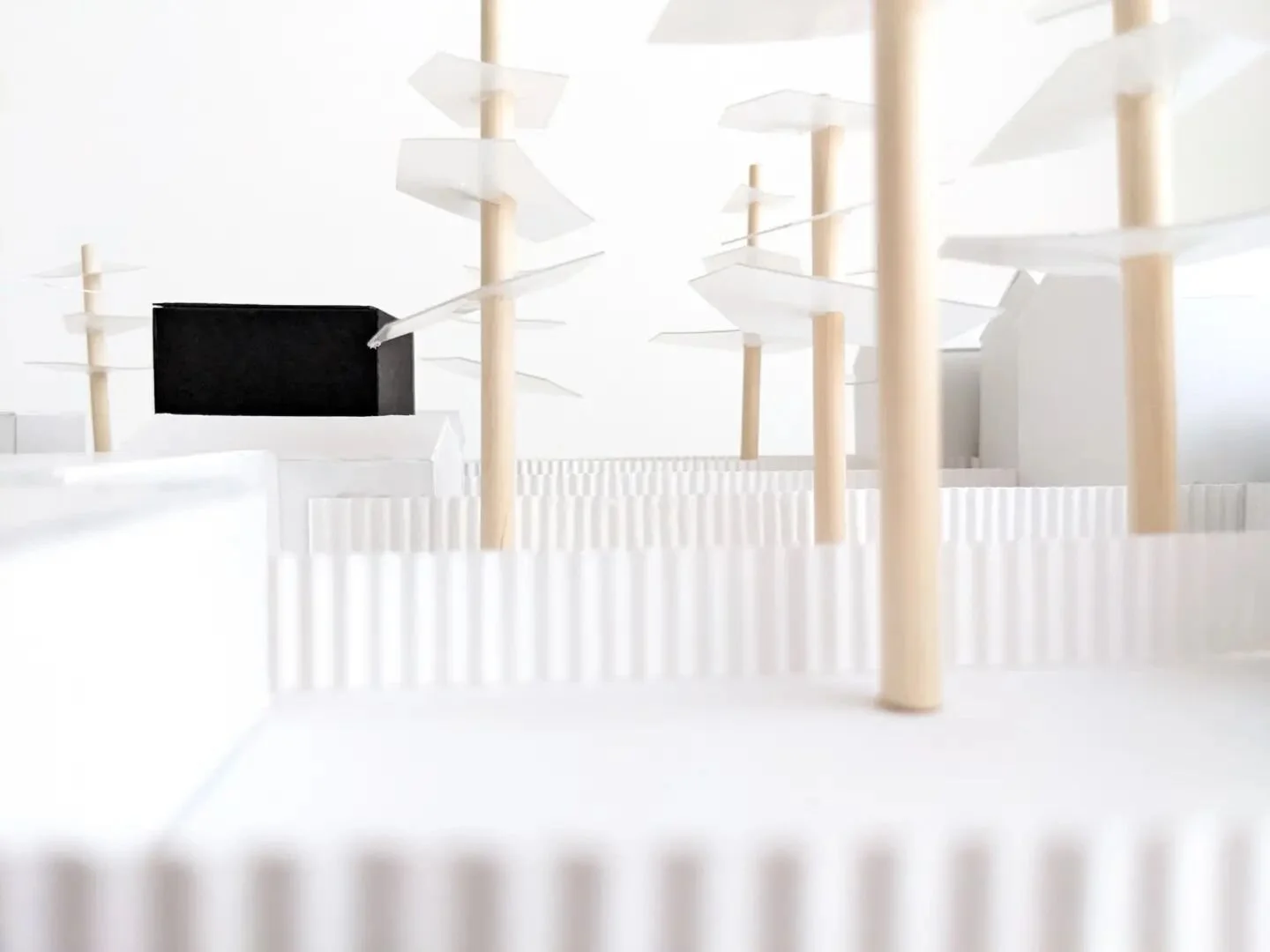 IRN201 - Sunlight Portal Suite

Site Model 1:100

Mount board, corrugated paper, wood dowels, plastic, thread.