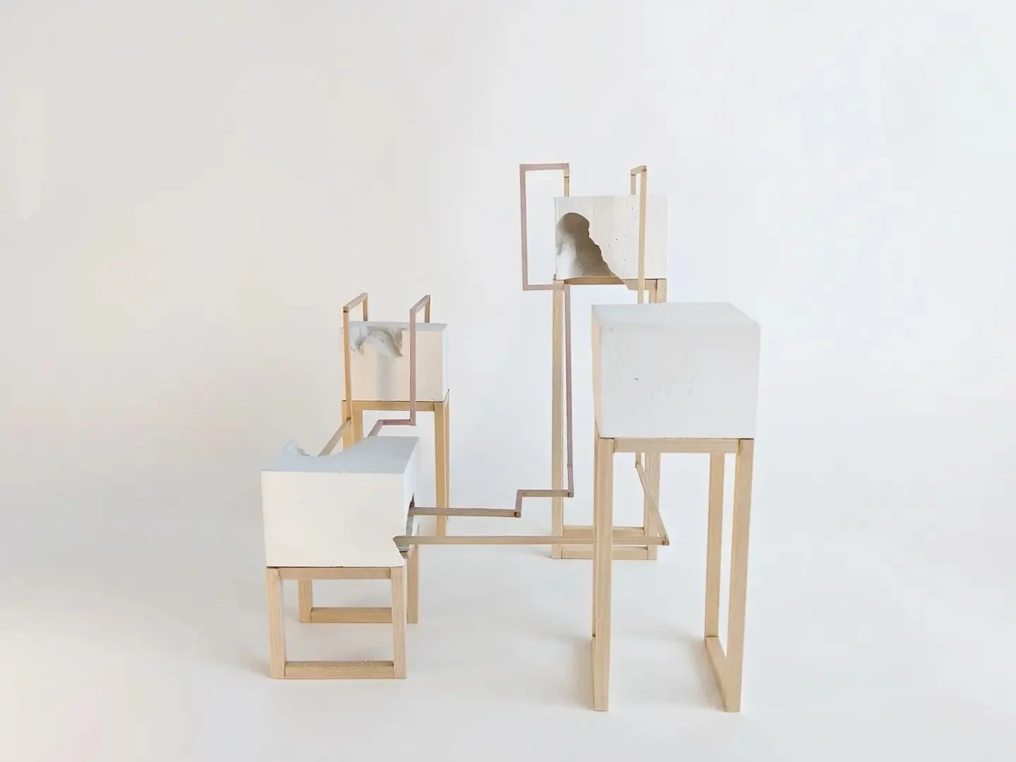 IRD200 - Scaffold and Structure.

Basswood dowels supporting plaster blocks.