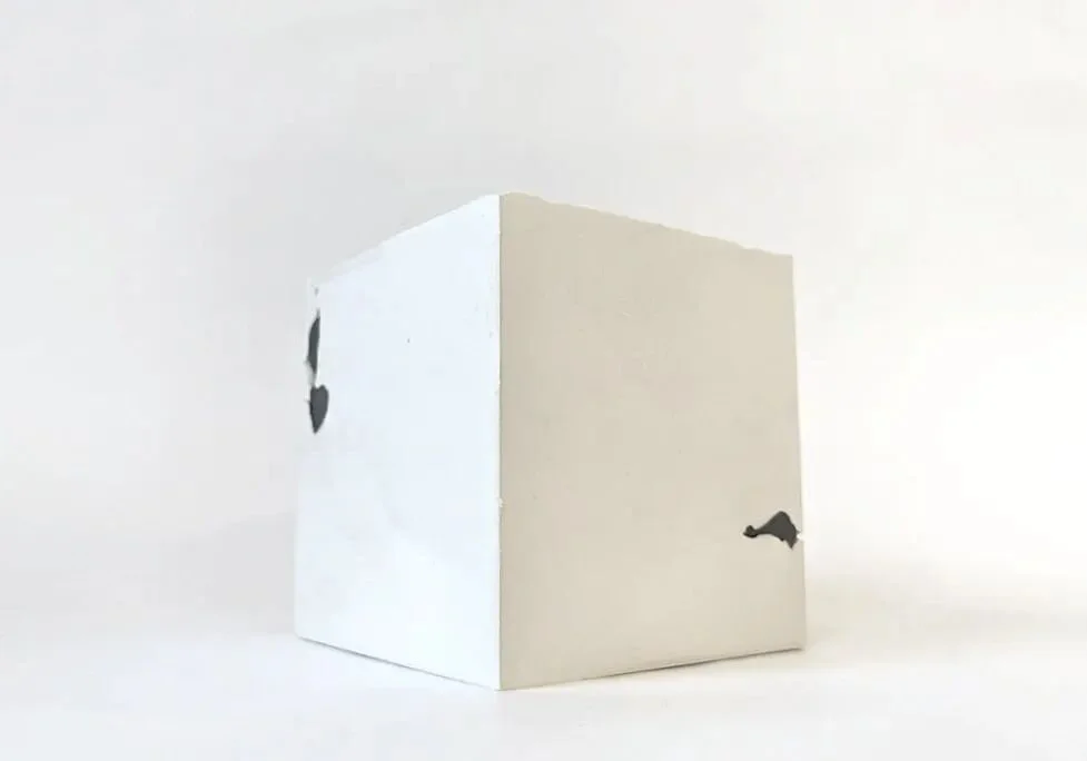 IRD200 - Plaster block with clay form on the interior. 

The process shows the block being cut open with a bandsaw to reveal the clay on the interior.