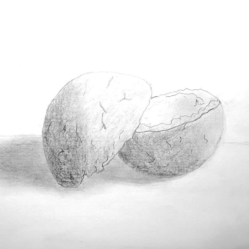 IRD200 - Sketch of Cellu Clay.

Graphite on Paper.