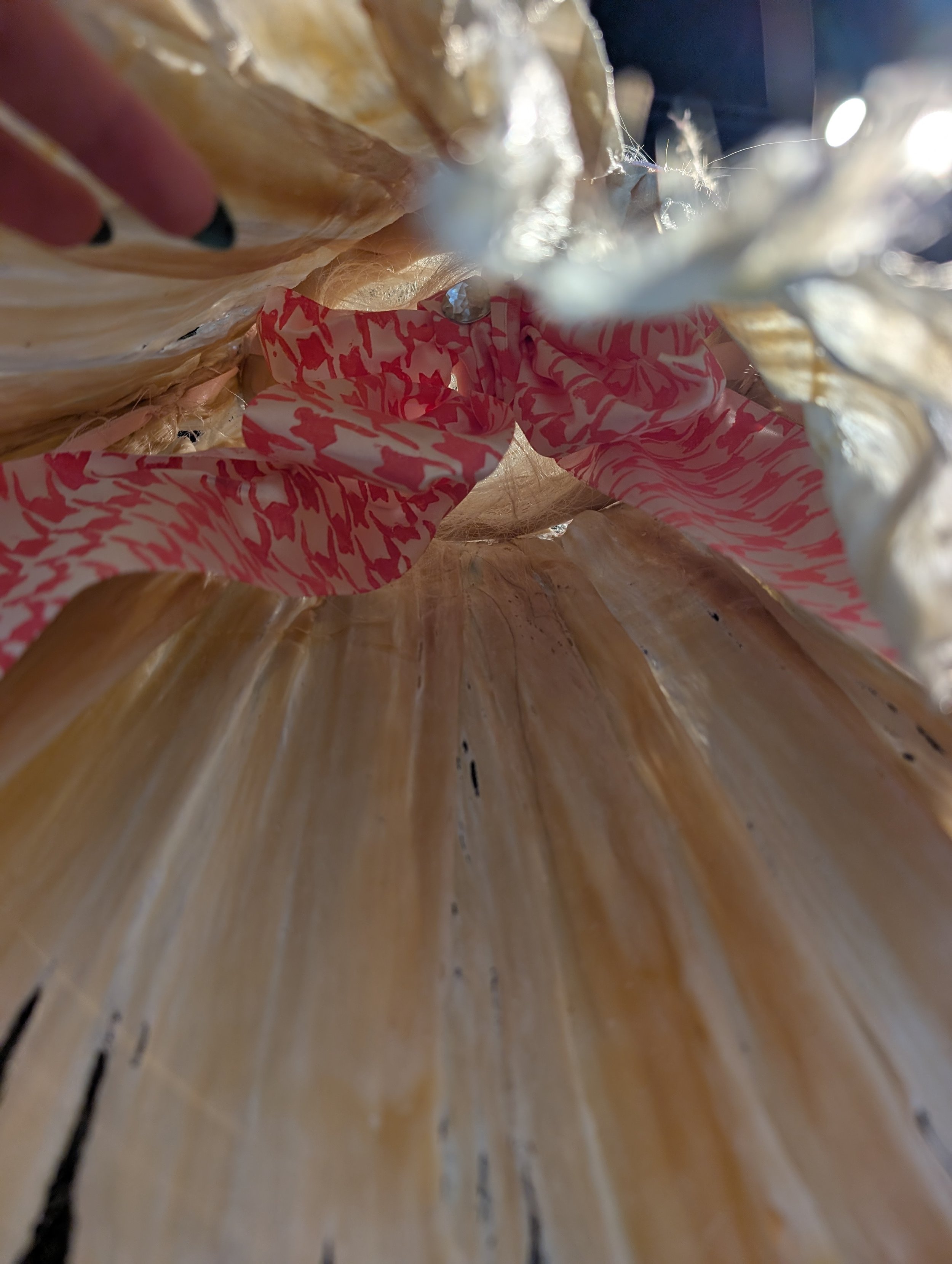 PXL_20260505_173539730.jpg
