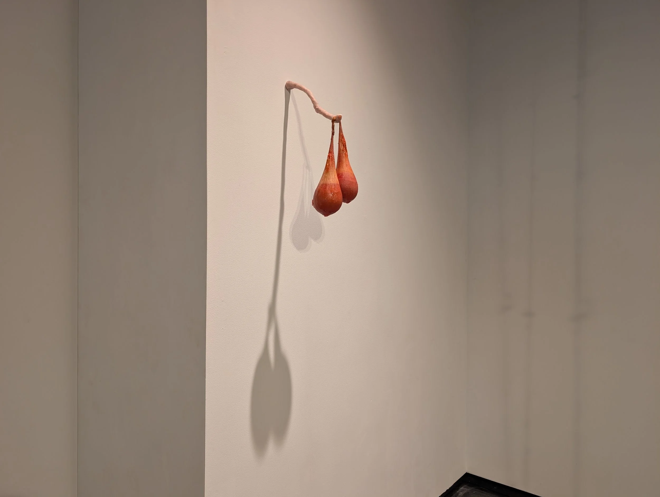 PXL_20260505_173048508.jpg
