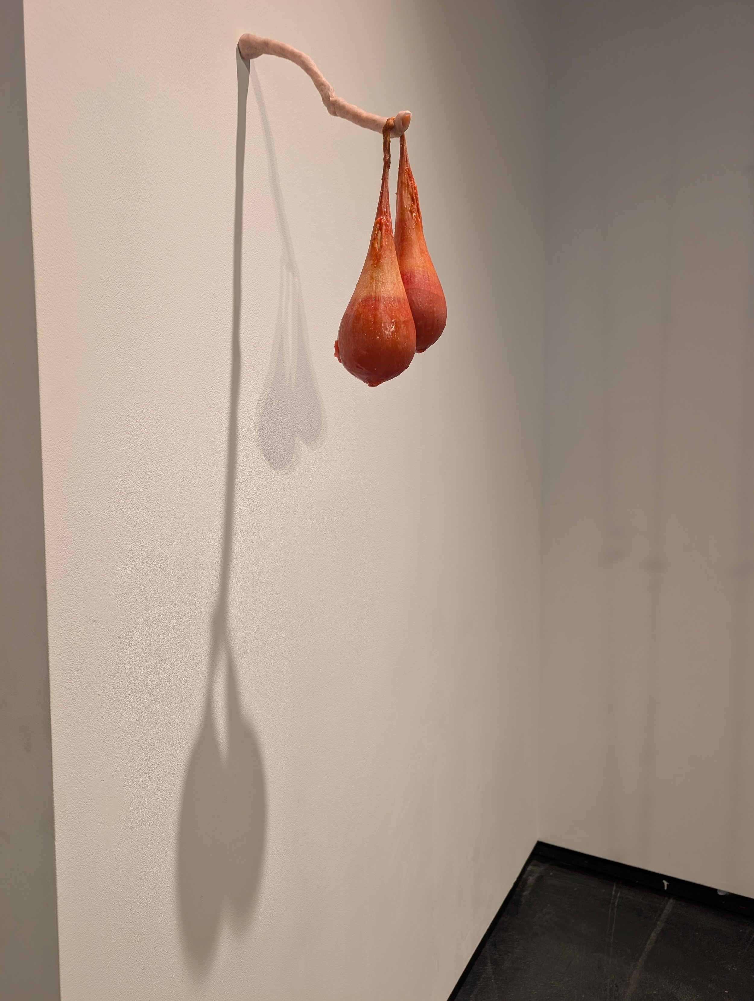 PXL_20260505_174017761.jpg