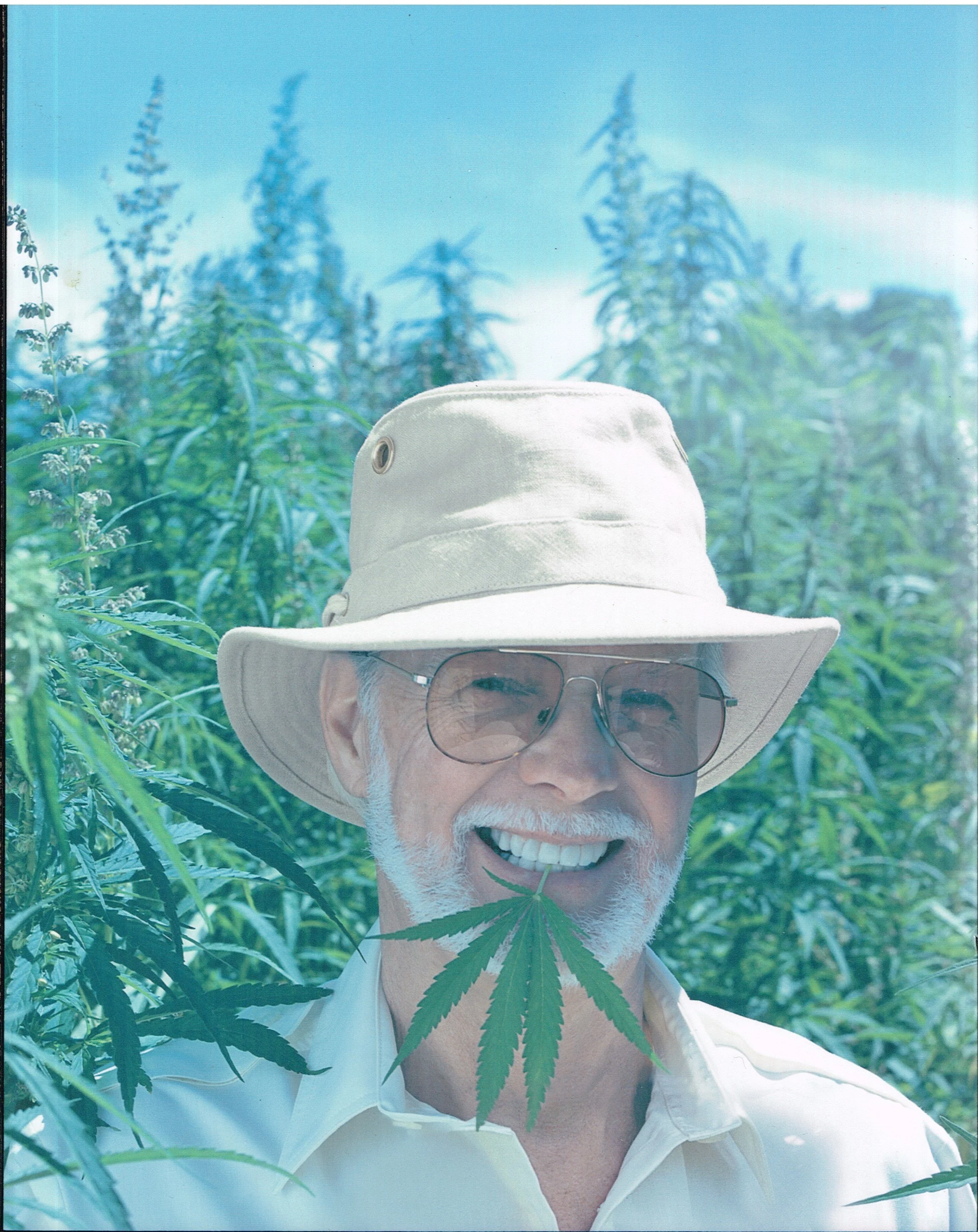 AT 49 - hemp300c.jpg