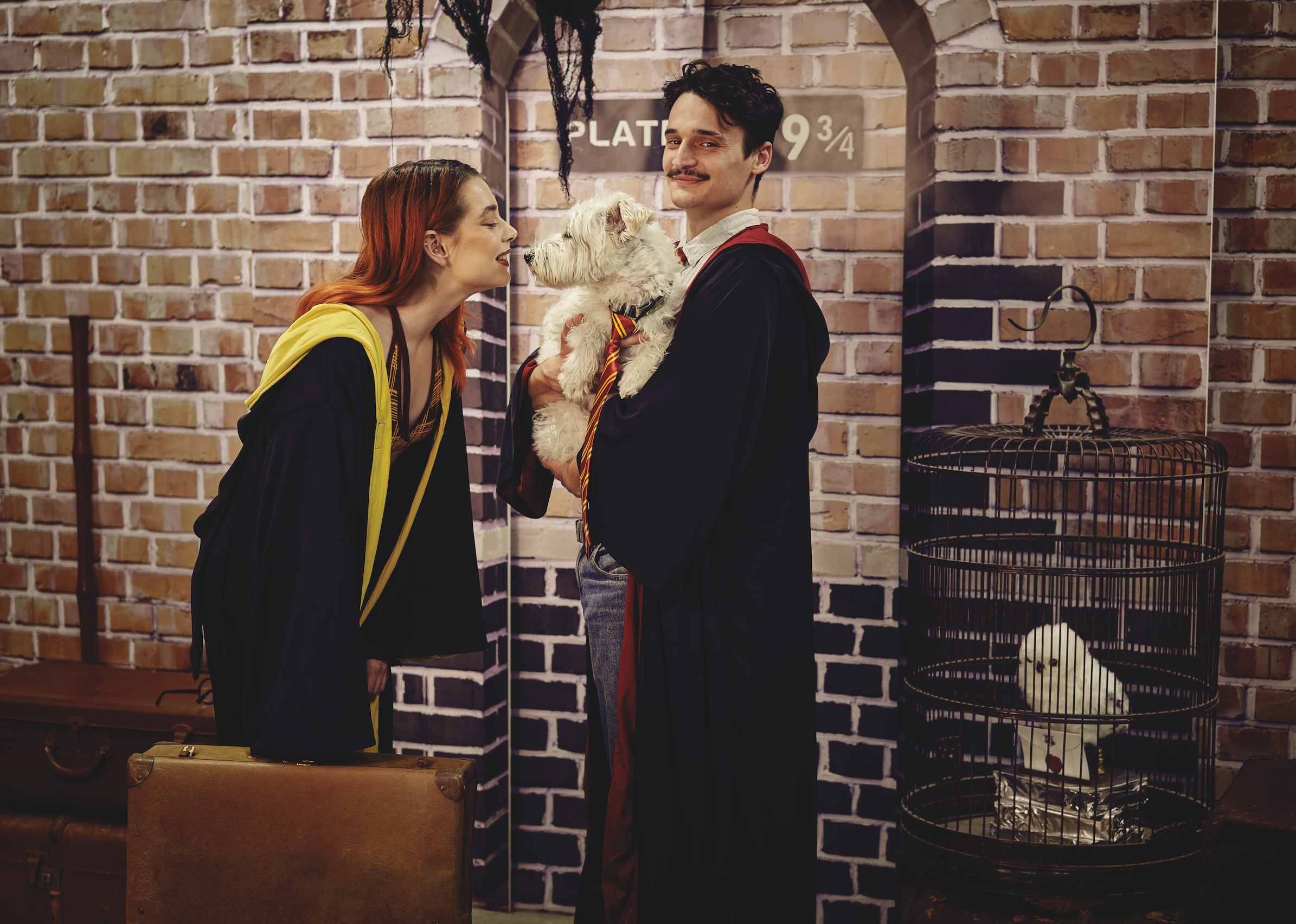 Screenshot 2023-10-26 at 6.40.32 pm.png