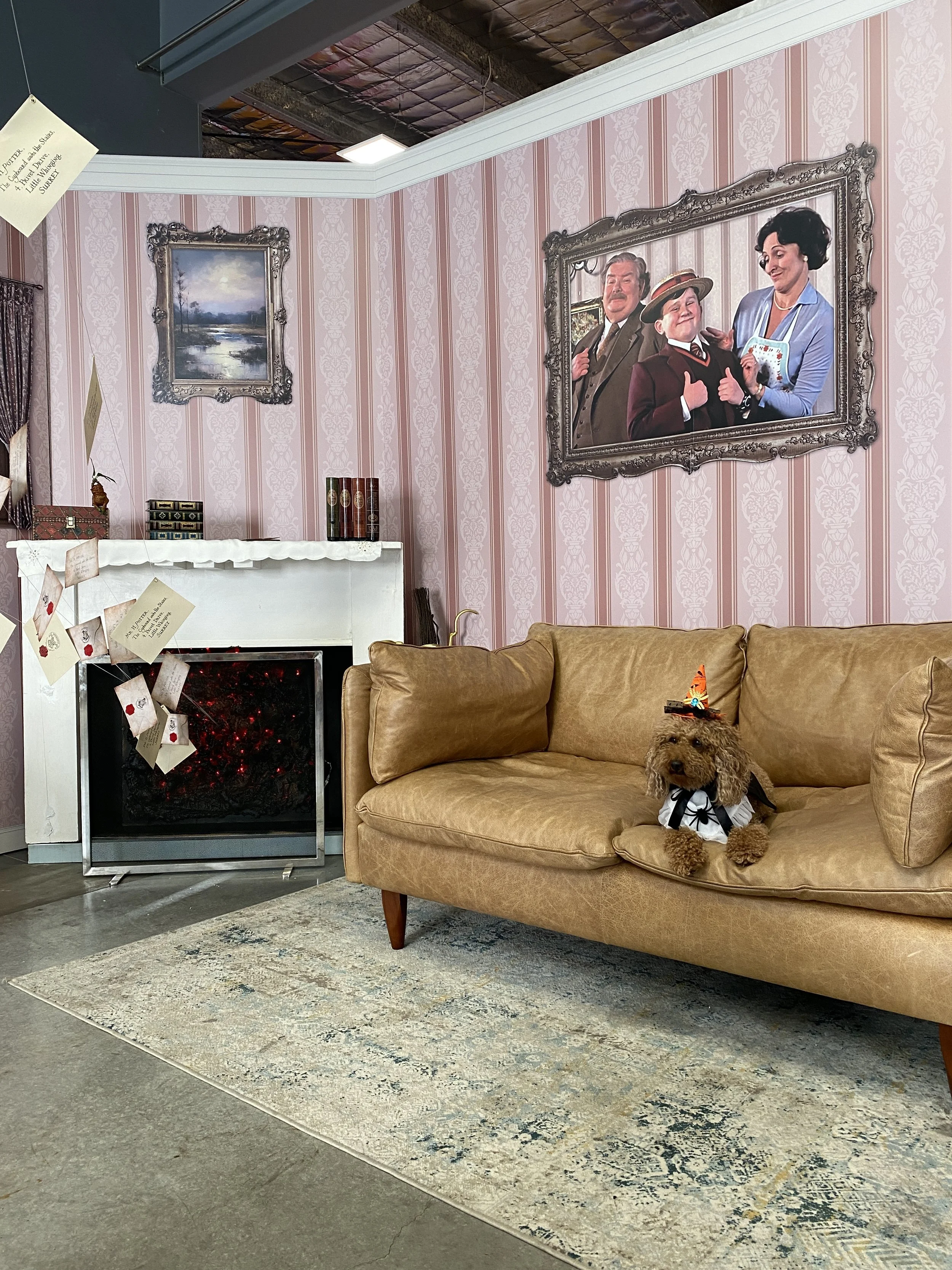 Harry Potter Home set