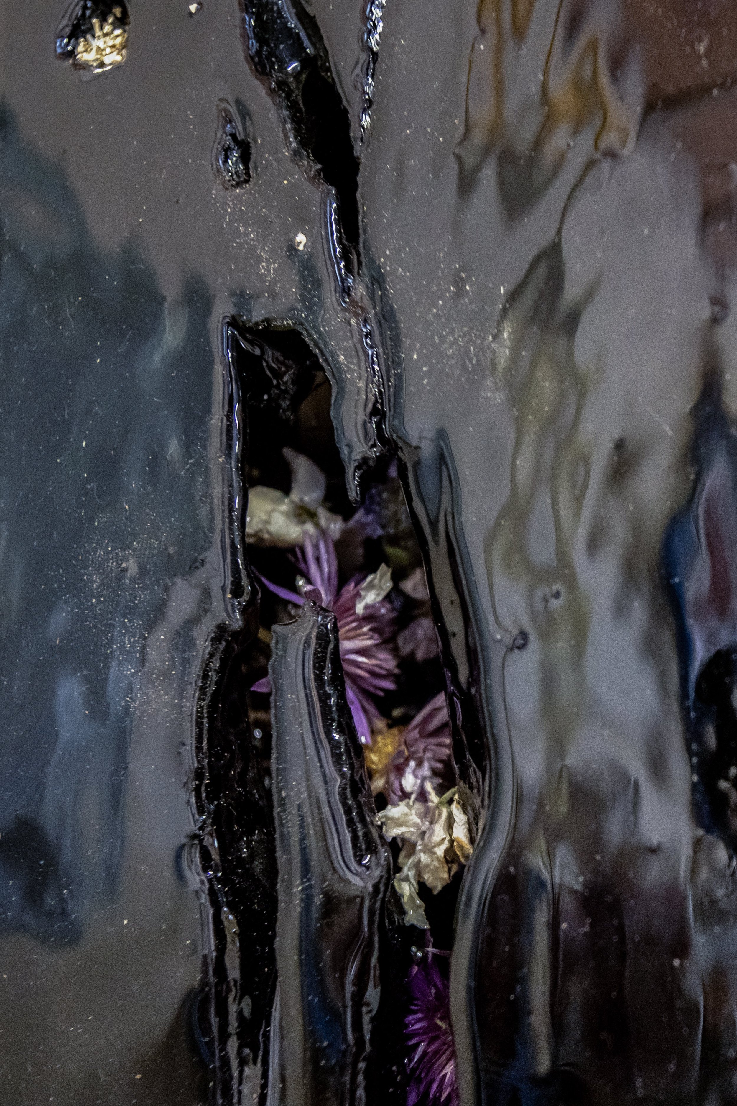 DSC_3110.jpg
