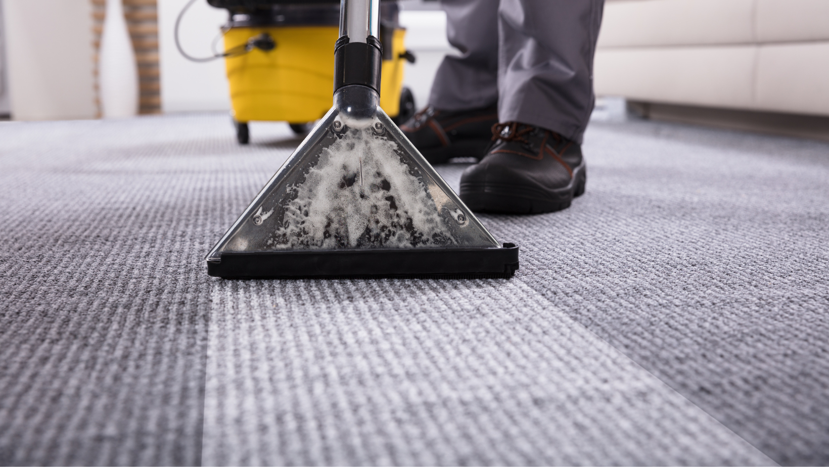 A Comprehensive Guide to Using a Carpet Shampooer Purpose and Process