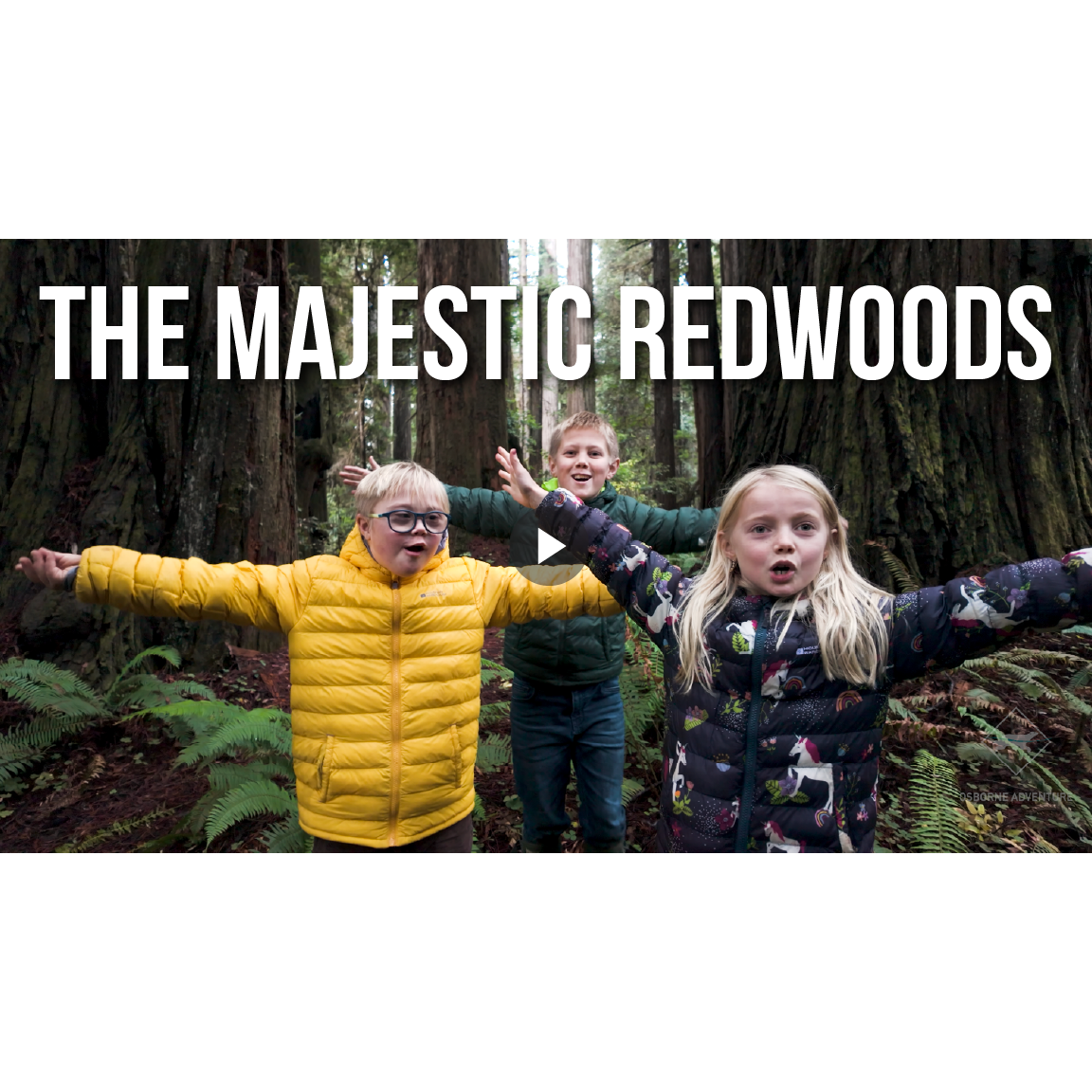 The Majestic Redwoods - Ep. 2