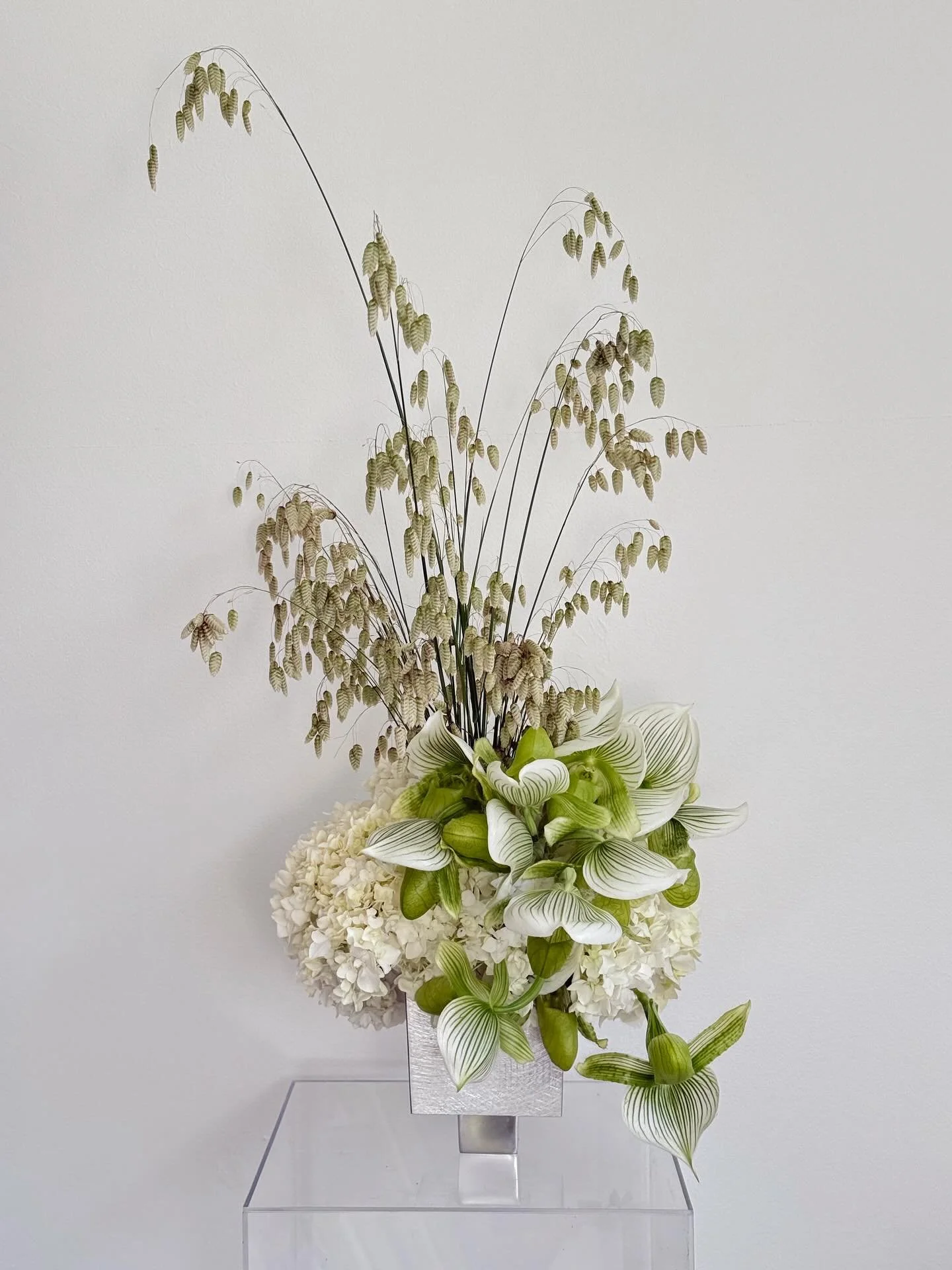 This weeks flower obsession ~ slipper orchids, quaking grass and a bed of hydrangeas
