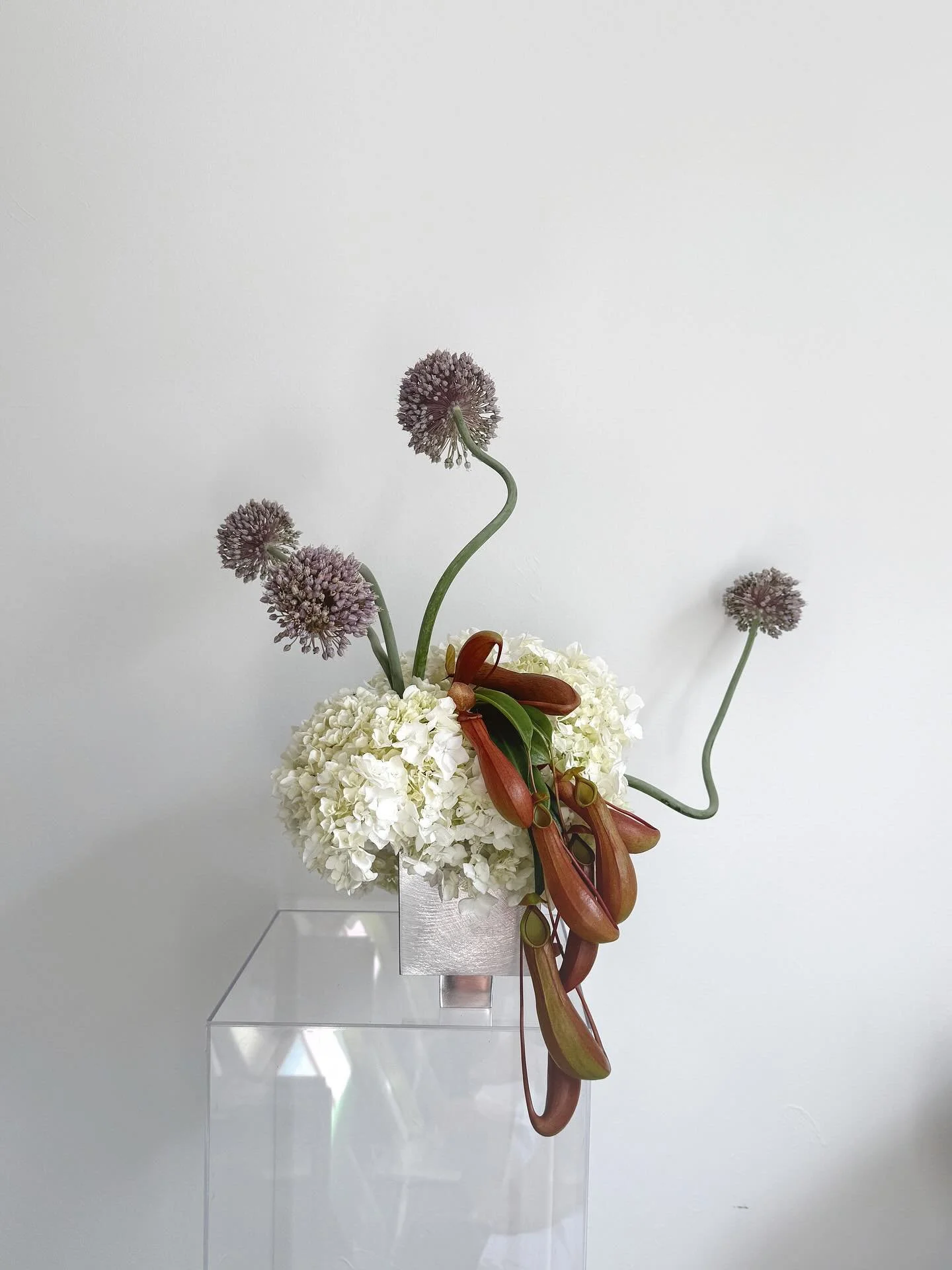 A little flower play in the studio before our last wedding of the season tomorrow with the most incredible team at @redleafwollombi 
You&rsquo;re going to love what&rsquo;s coming 🤍