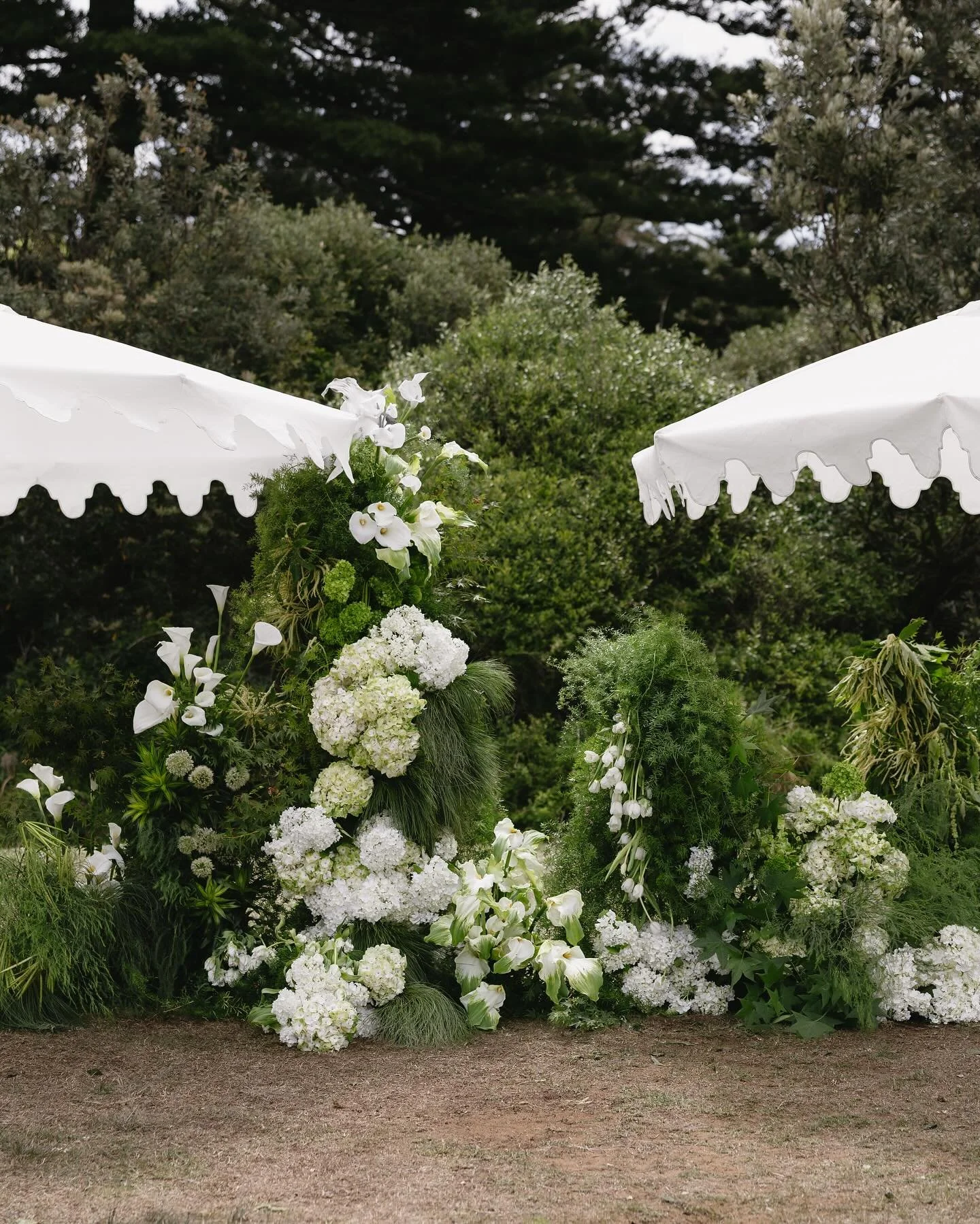 H &amp; J Ceremony set up at the stunning @dunespalmbeach captured through @sarbostudio lens 🫶