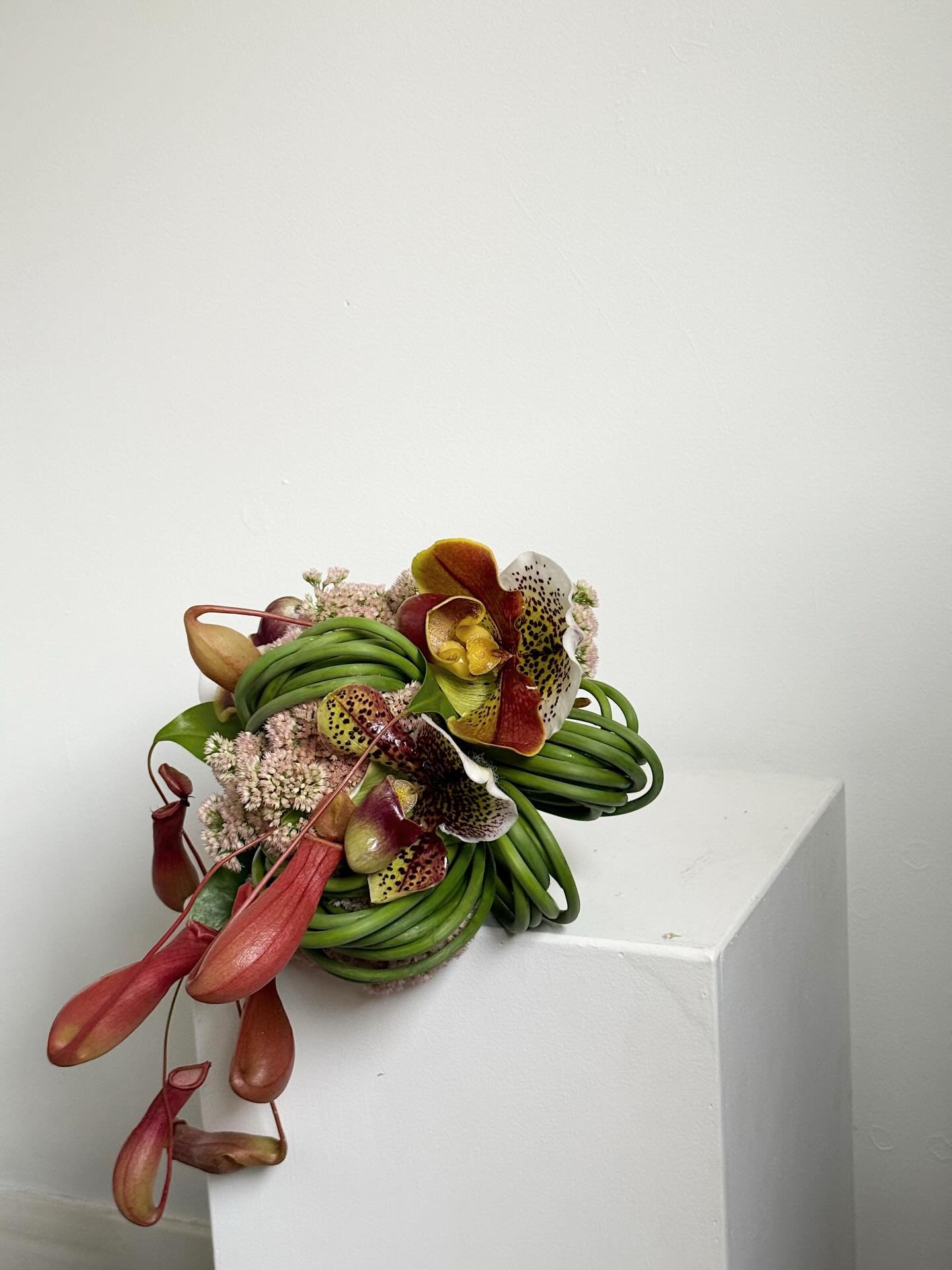 A bouquet of sculptural curves and layered textures, perfect for couples looking for something a little different 🤎