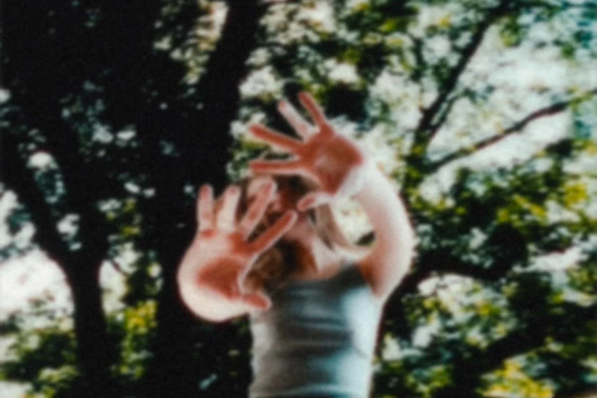 the winner cover art.jpg