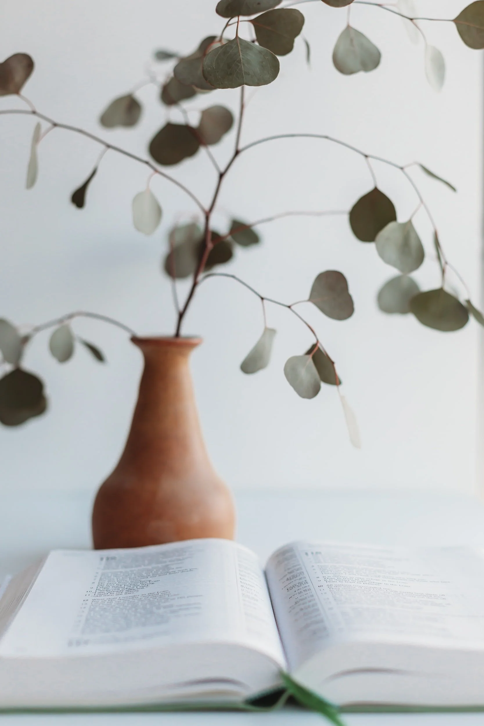 How to Read the Bible without a Bible Reading Plan