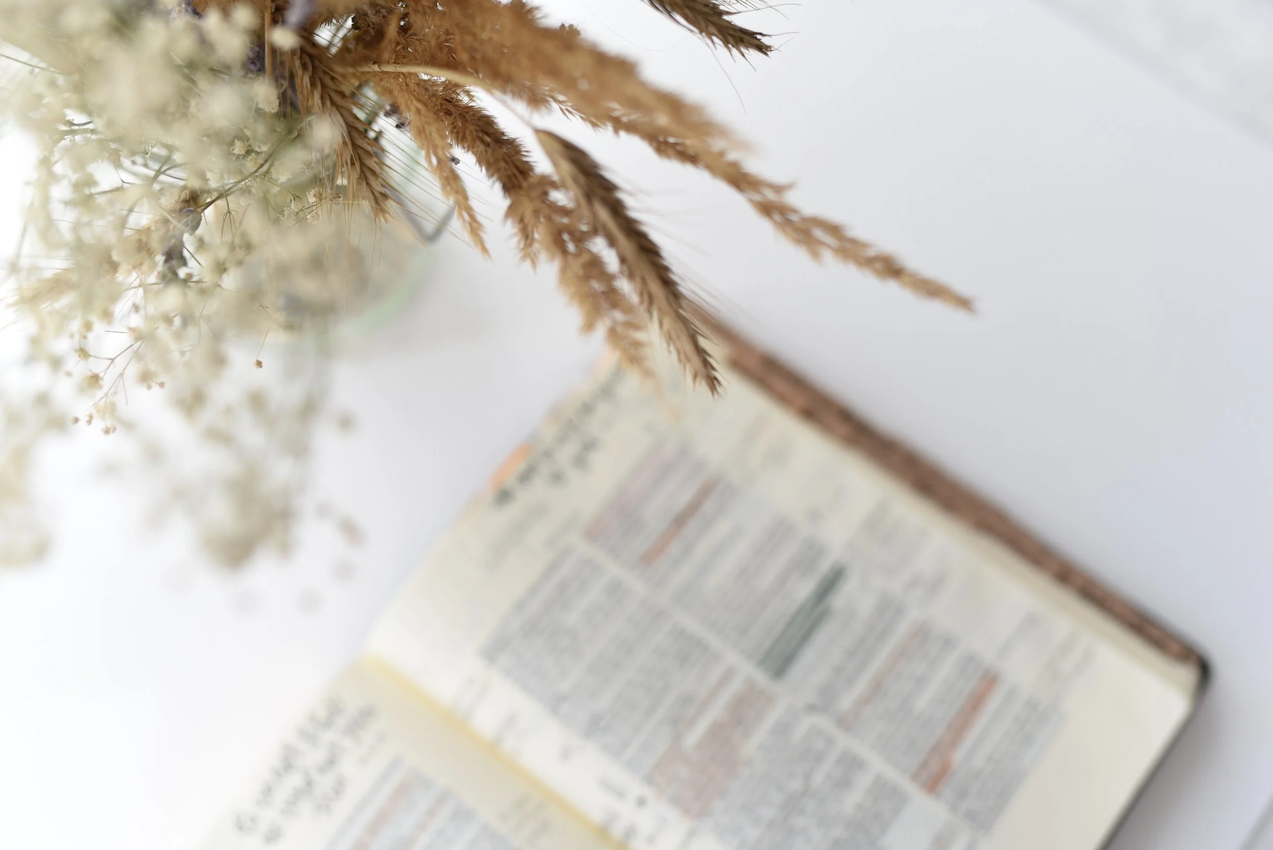What the Bible says about Contentment