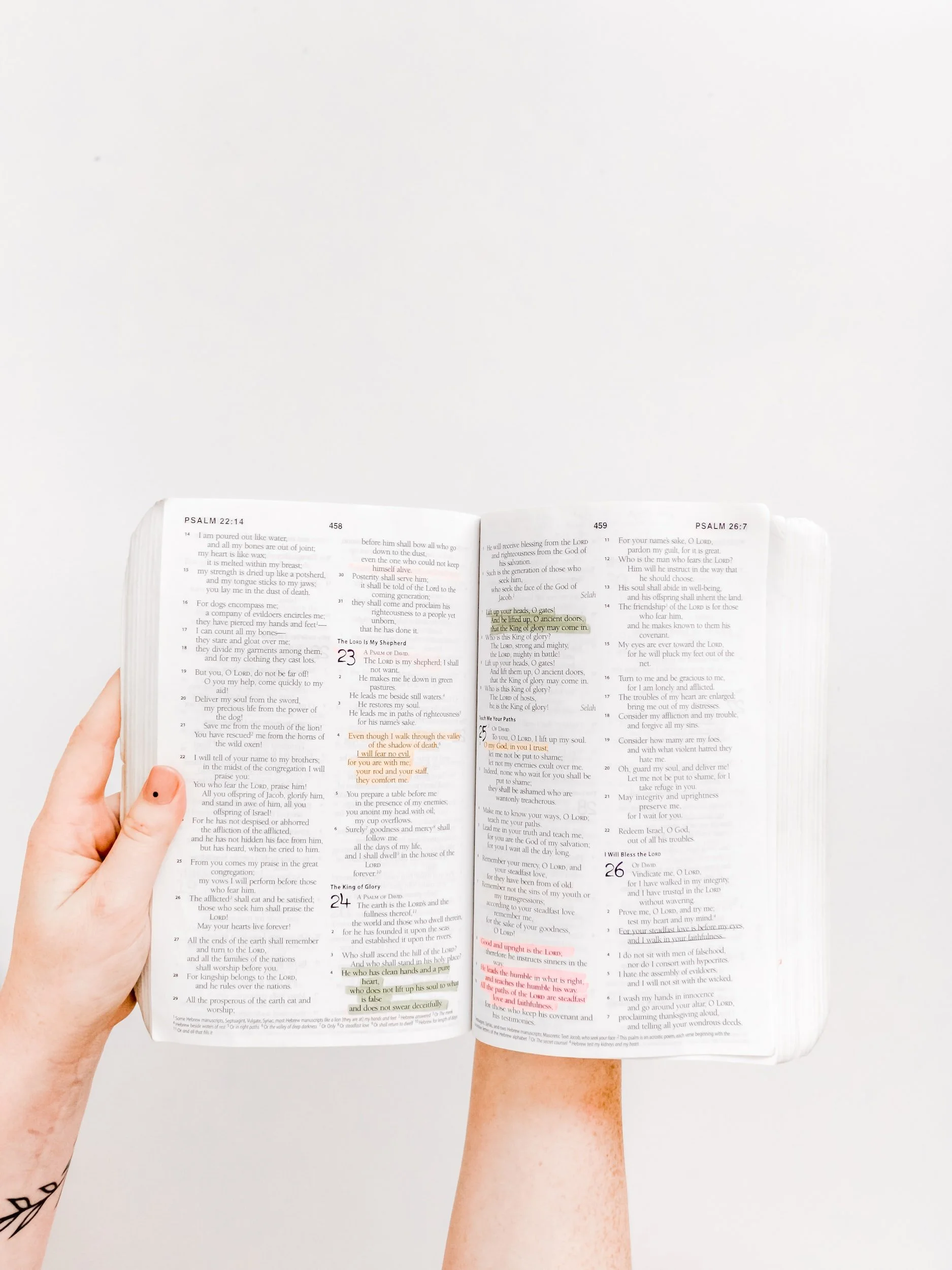 Why you Should Read the Whole Bible
